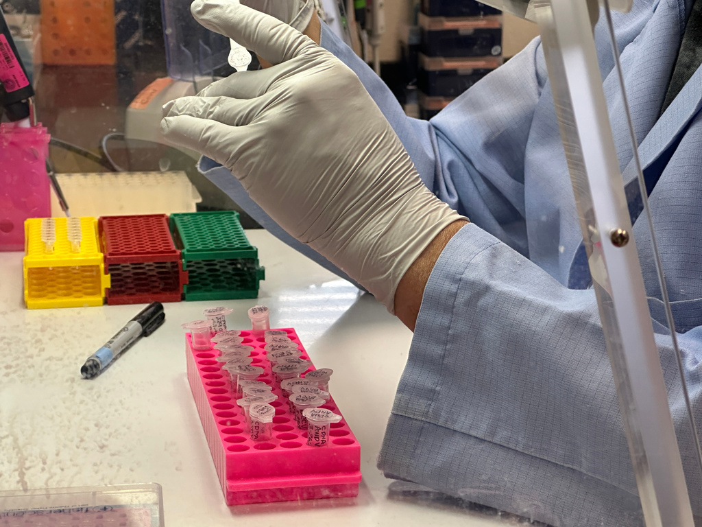 A Research scientist prepares samples of inactivated material as part of hantavirus research at the Center for Global Health at the University of New Mexico Health Sciences Center in Albuquerque, New Mexico, on Monday, May 4, 2026. 