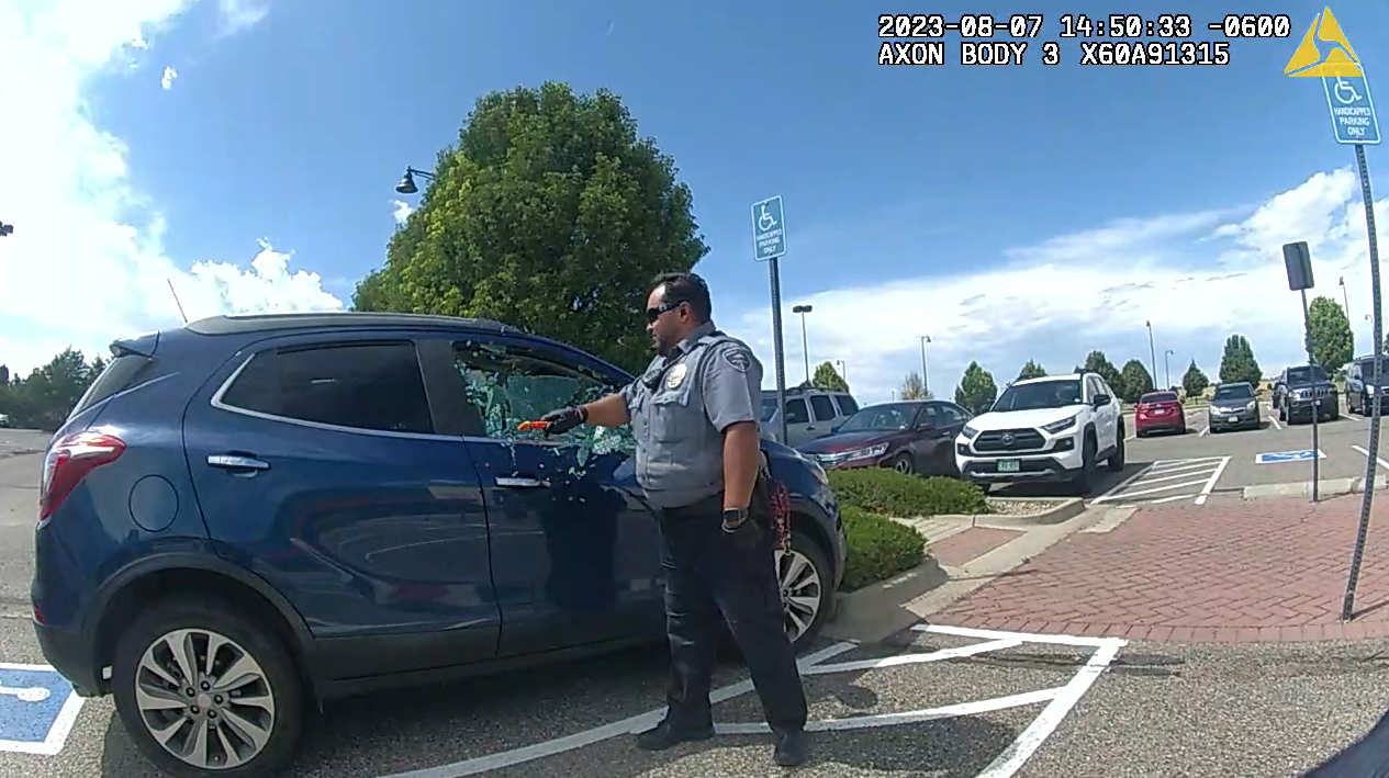 Dog rescued from hot car_Brighton Police Department