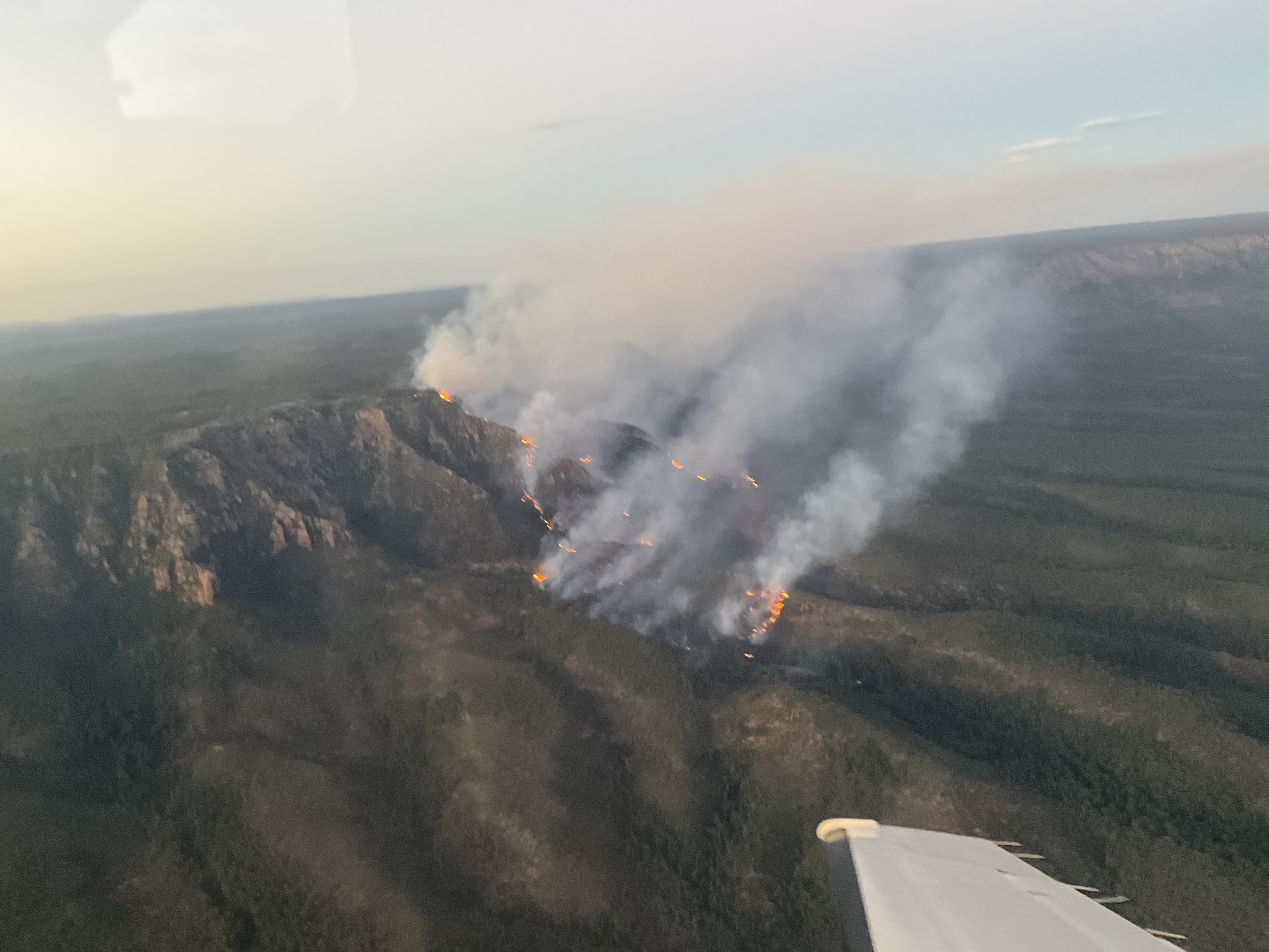 Brady Fire, Gila County