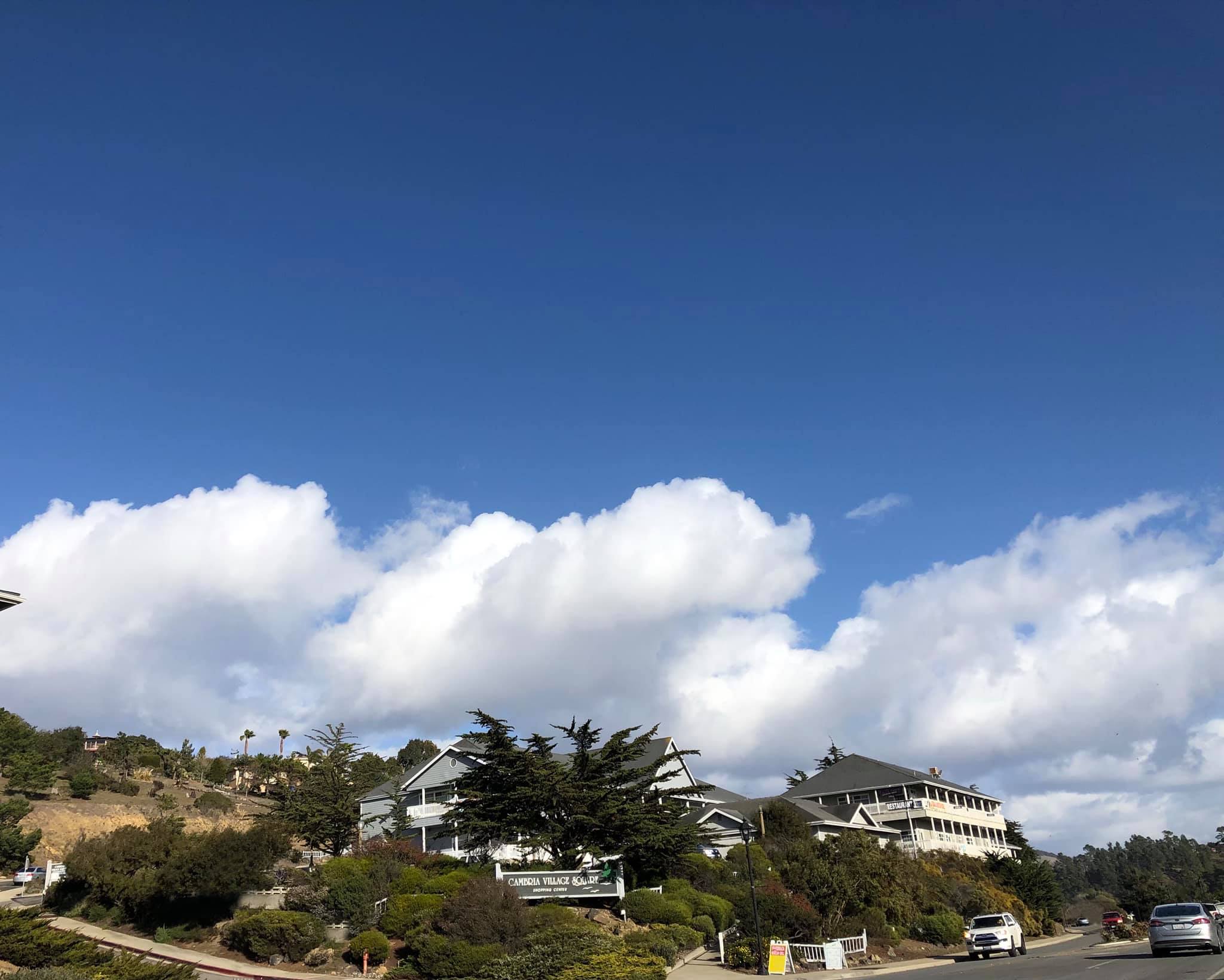 michele sherman cambria.jpg