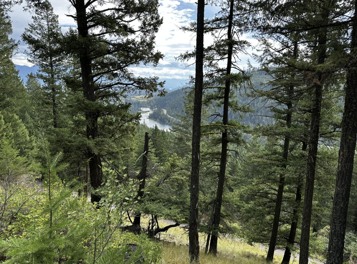 Flathead Land Trust protects the Bradshaw property in Bigfork 