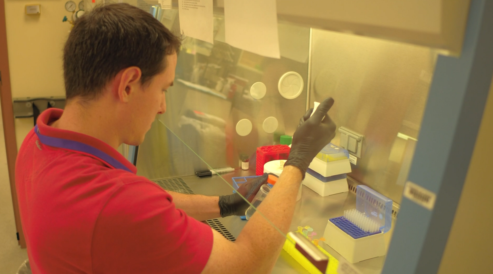 Scientist says development of pill to treat COVID could 'take the teeth' out of pandemic