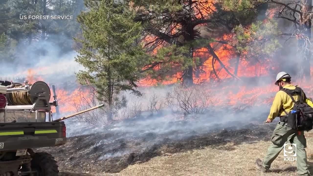 Firefighters tackle prescribed burns and wildfires