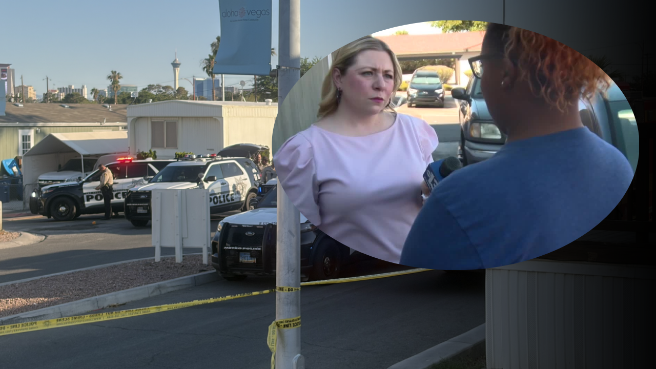 'A scary moment': Neighbor recalls moments following deadly shooting after stolen car chase