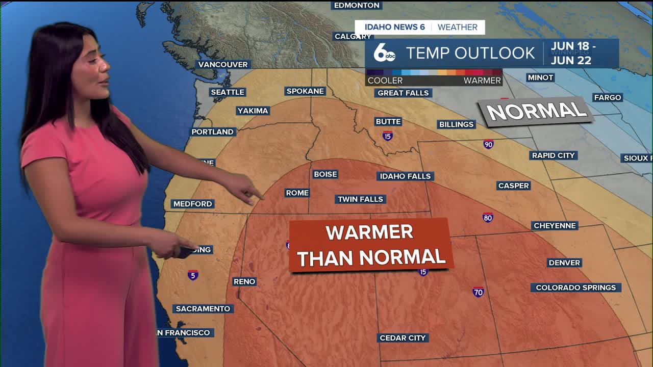Forecast