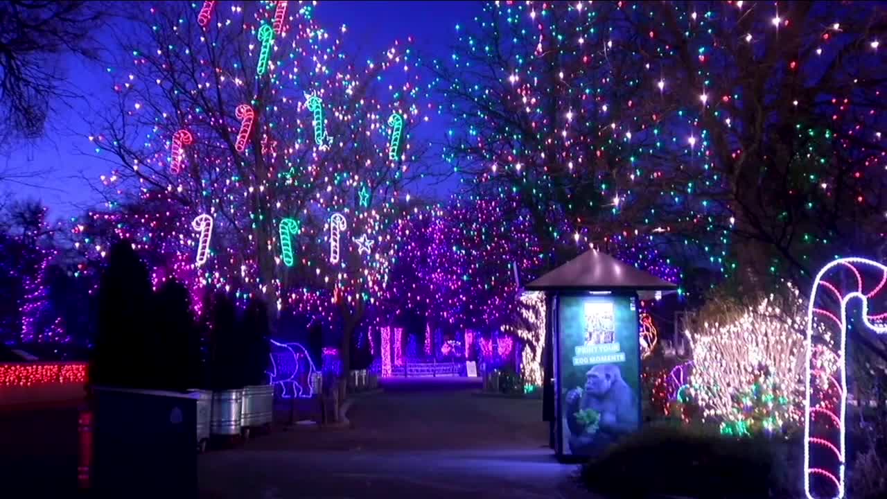 Denver Zoo Lights 2023.jpg