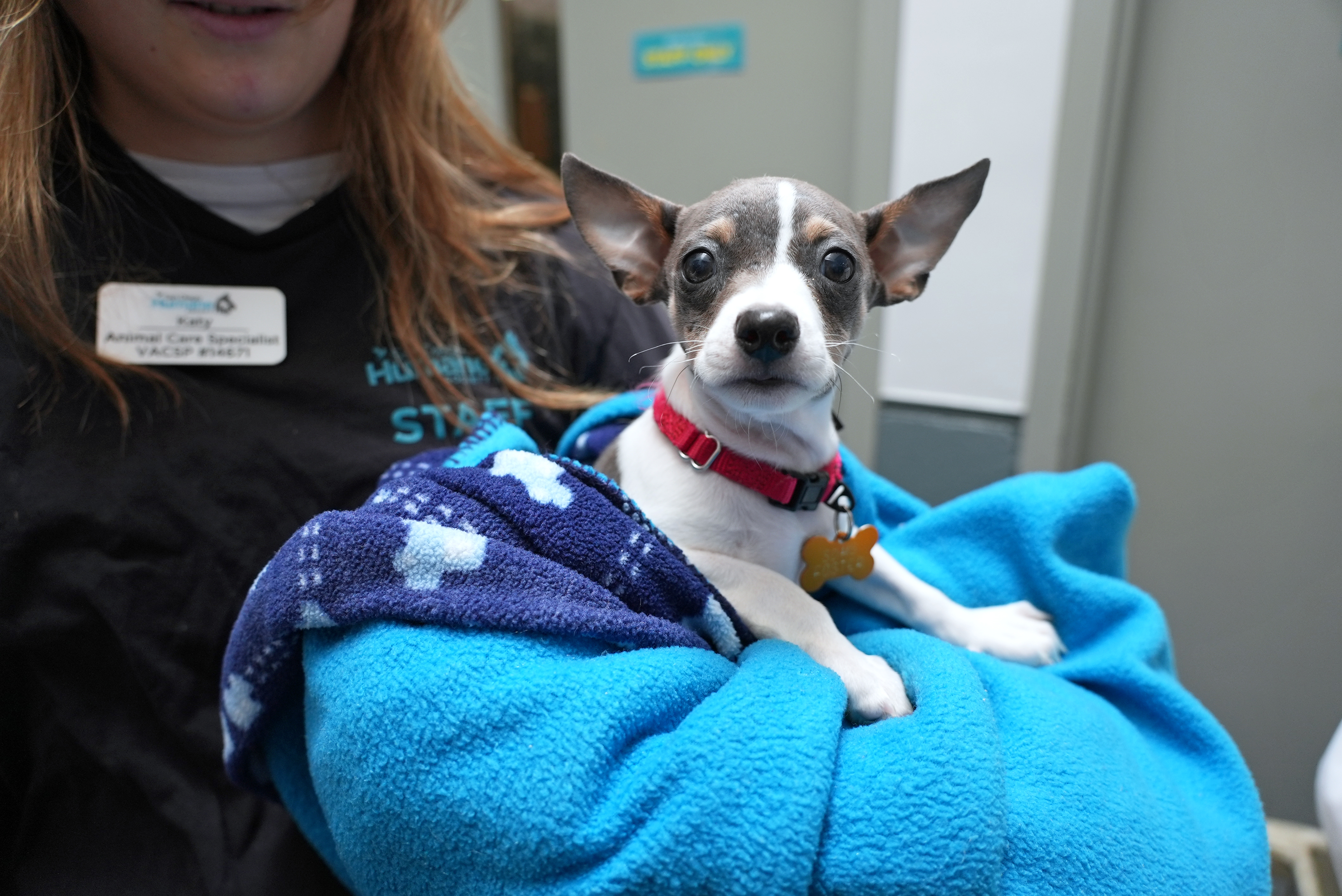 La Mesa Dog Rescue 1/15/2026