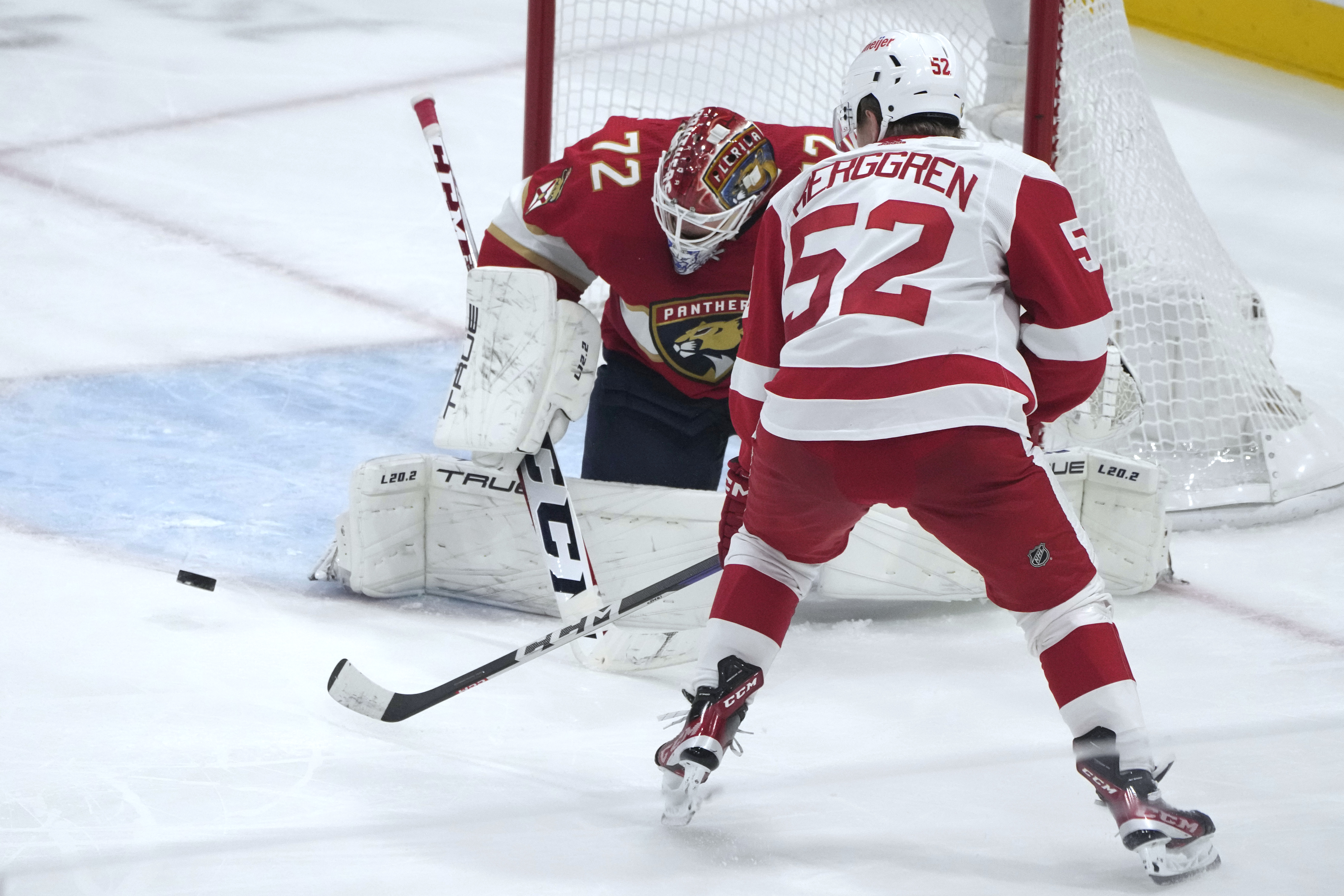 Sergei Bobrovsky, Jonatan Berggren Red Wings Panthers Hockey