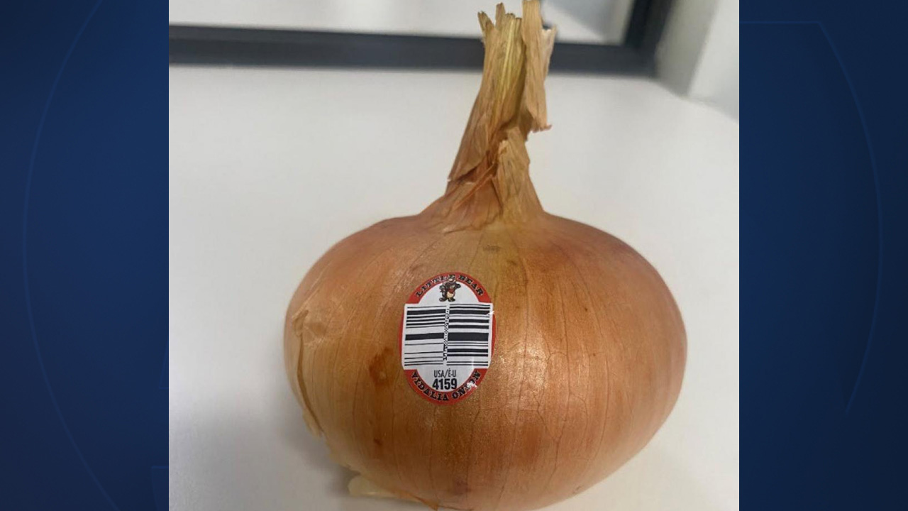 Vidalia onions sold last week in Florida Publix stores have been recalled because of the potential for them to be contaminated with Listeria.