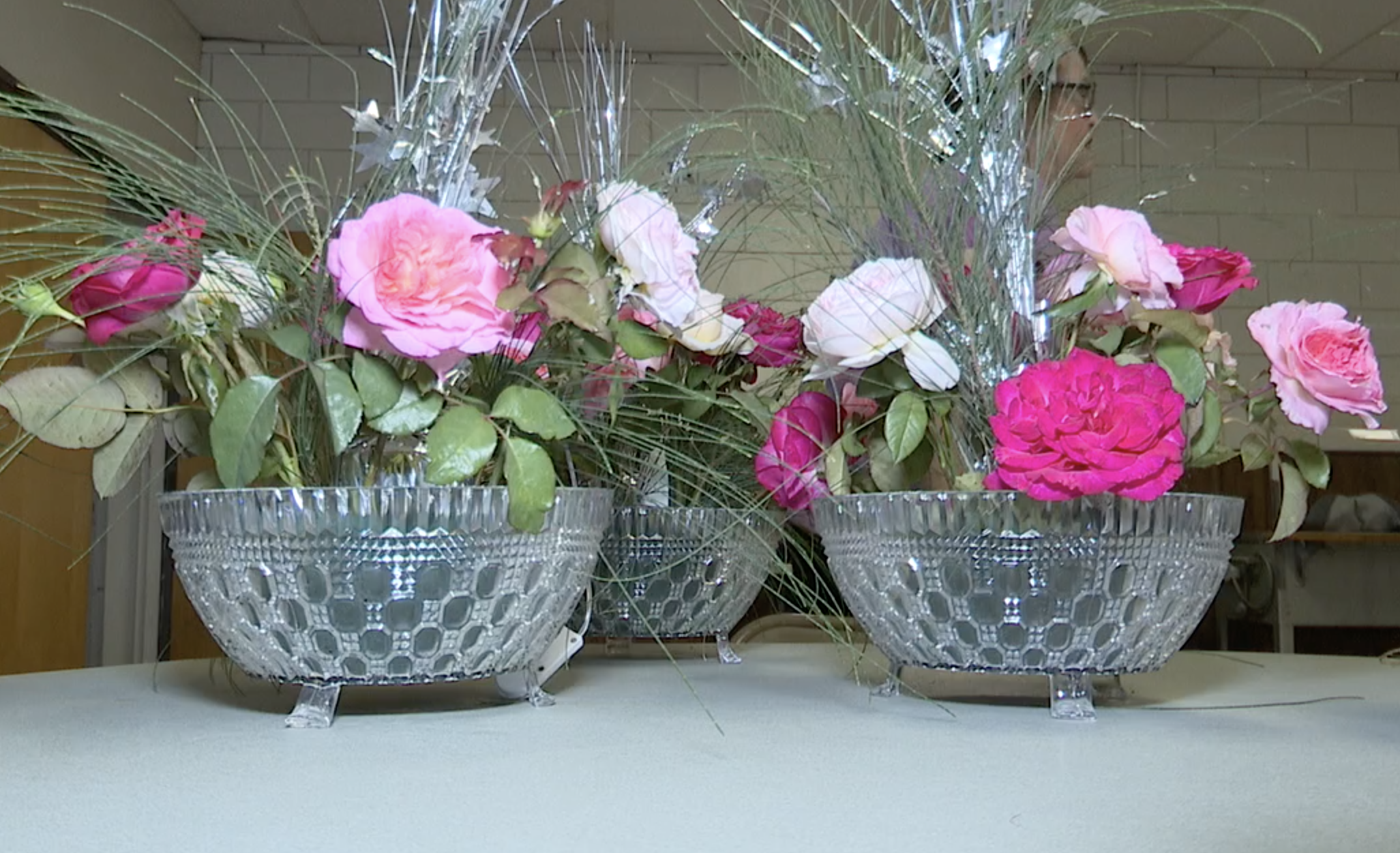 wasco rose festival roses 2023