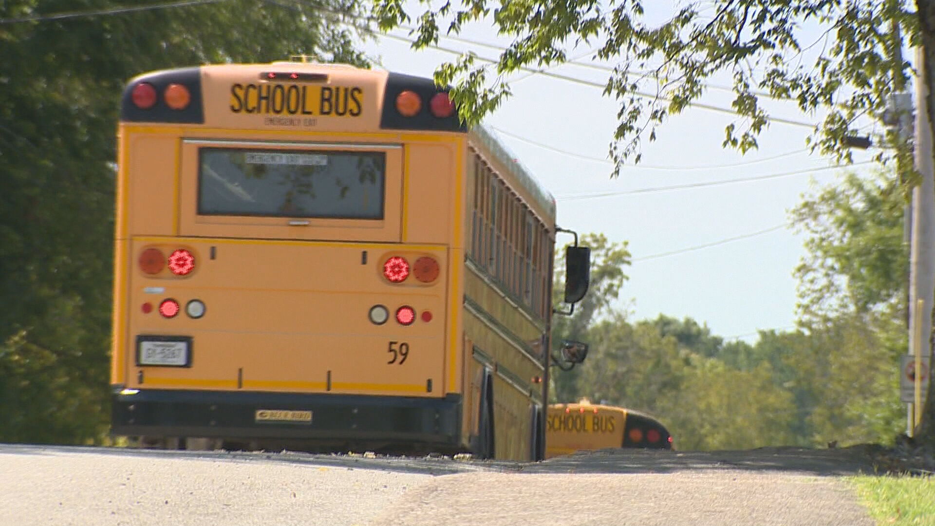 Cheatham County Buses