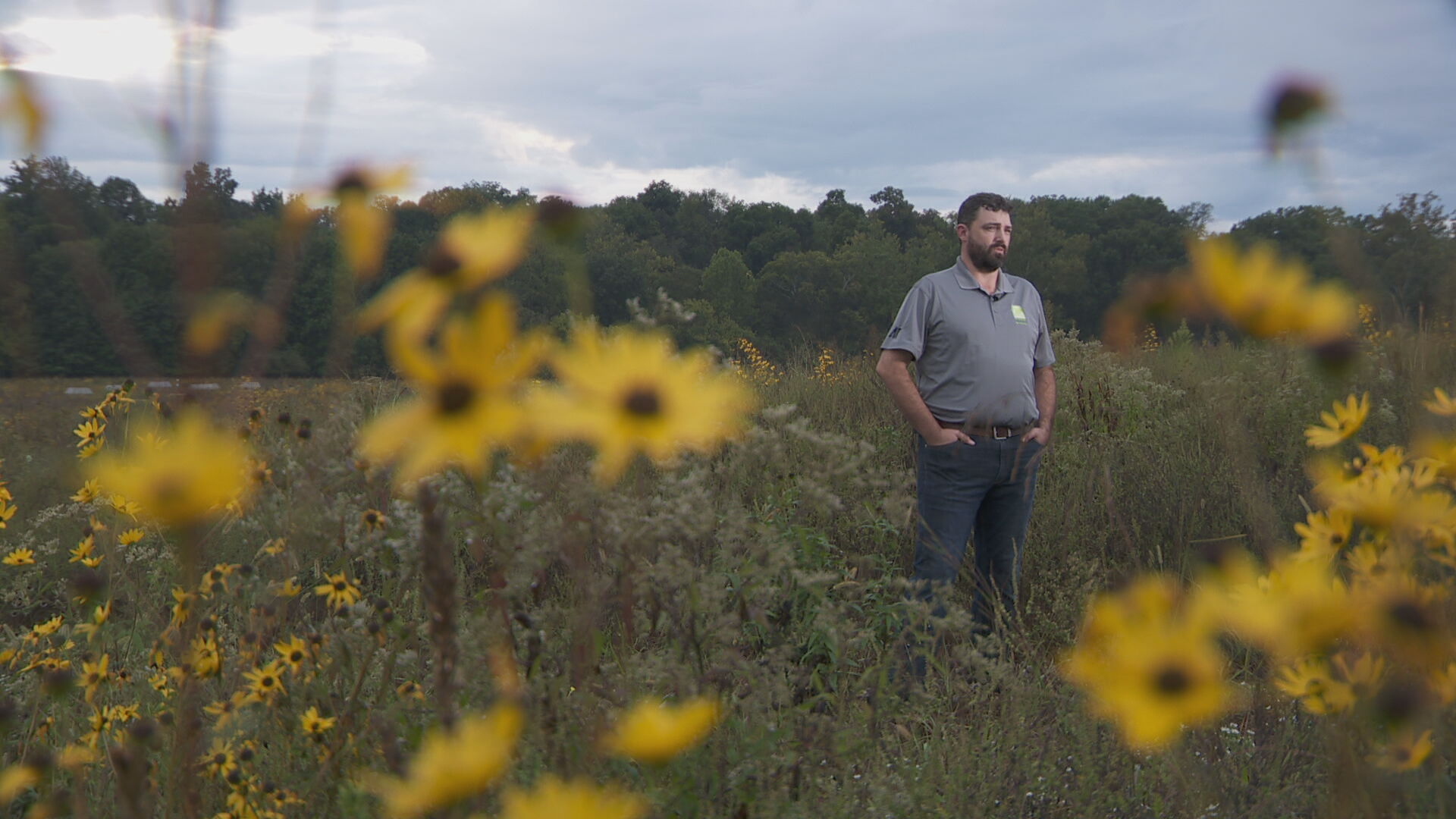 Grassland Restoration