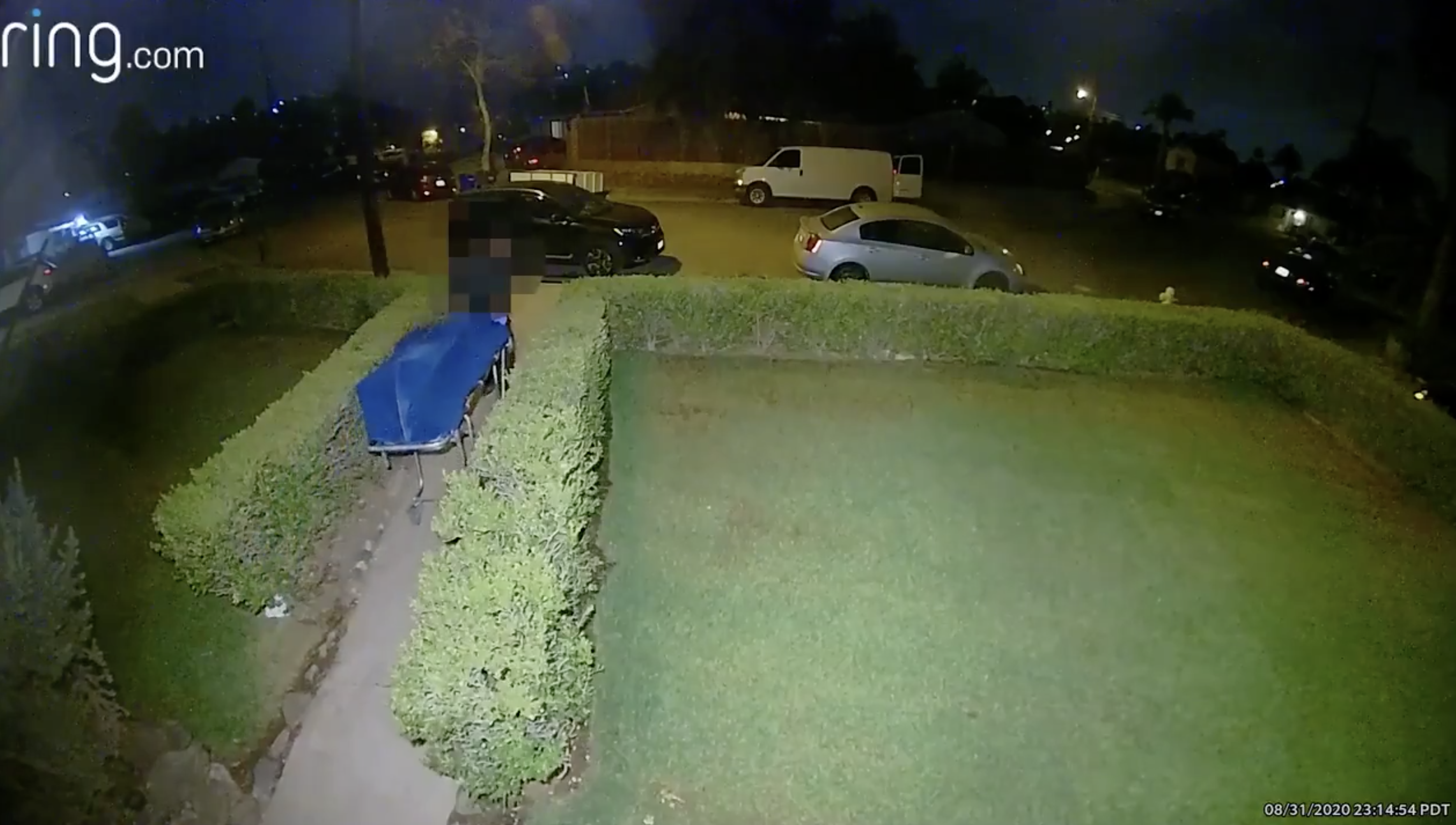 Screen Shot 2020-10-27 at 7.45.00 PM.png