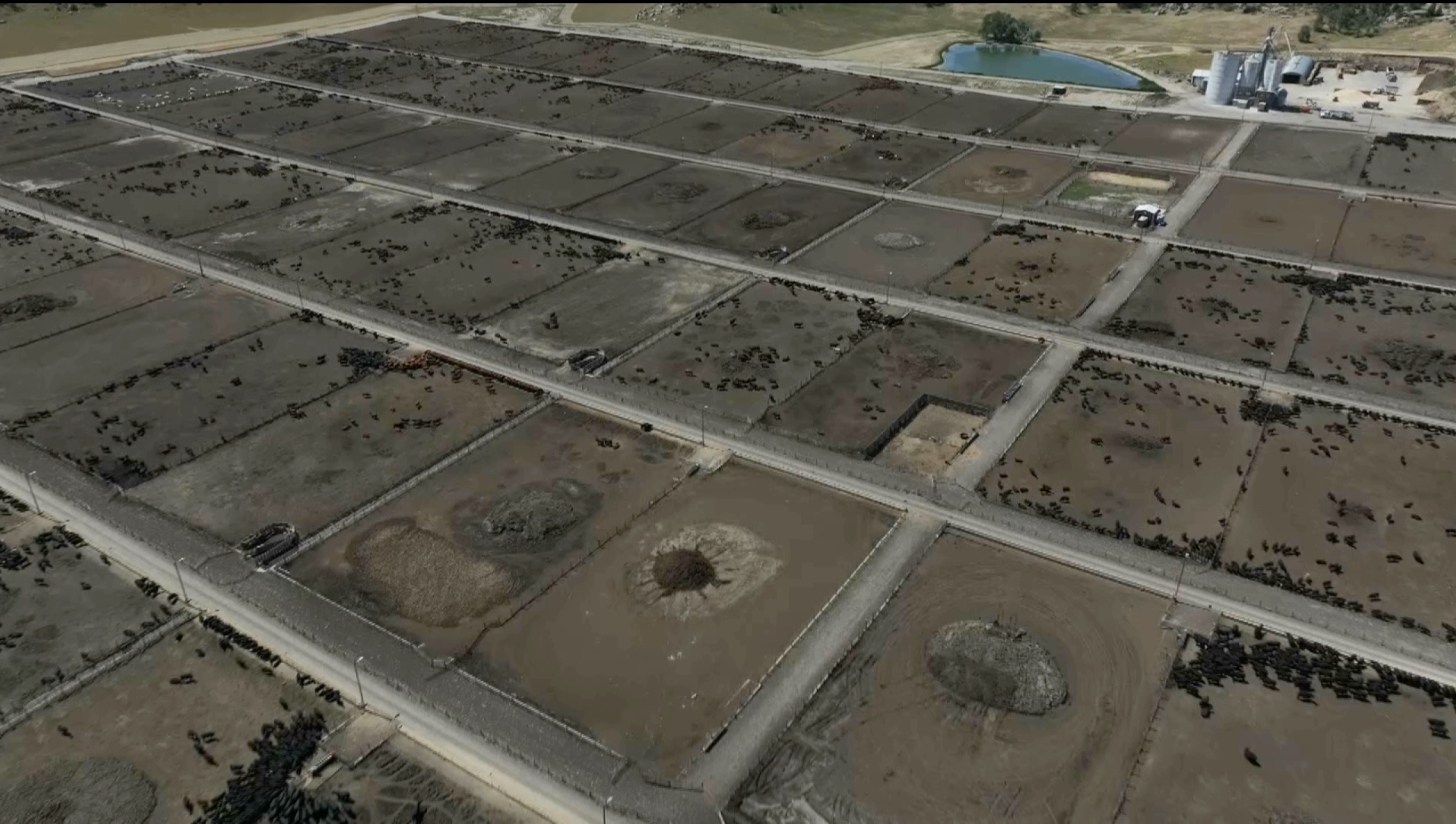 Yellowstone Cattle Feeders