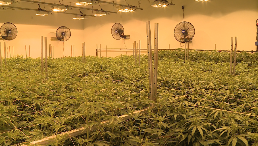 GreenLeaf Richmond 02.png