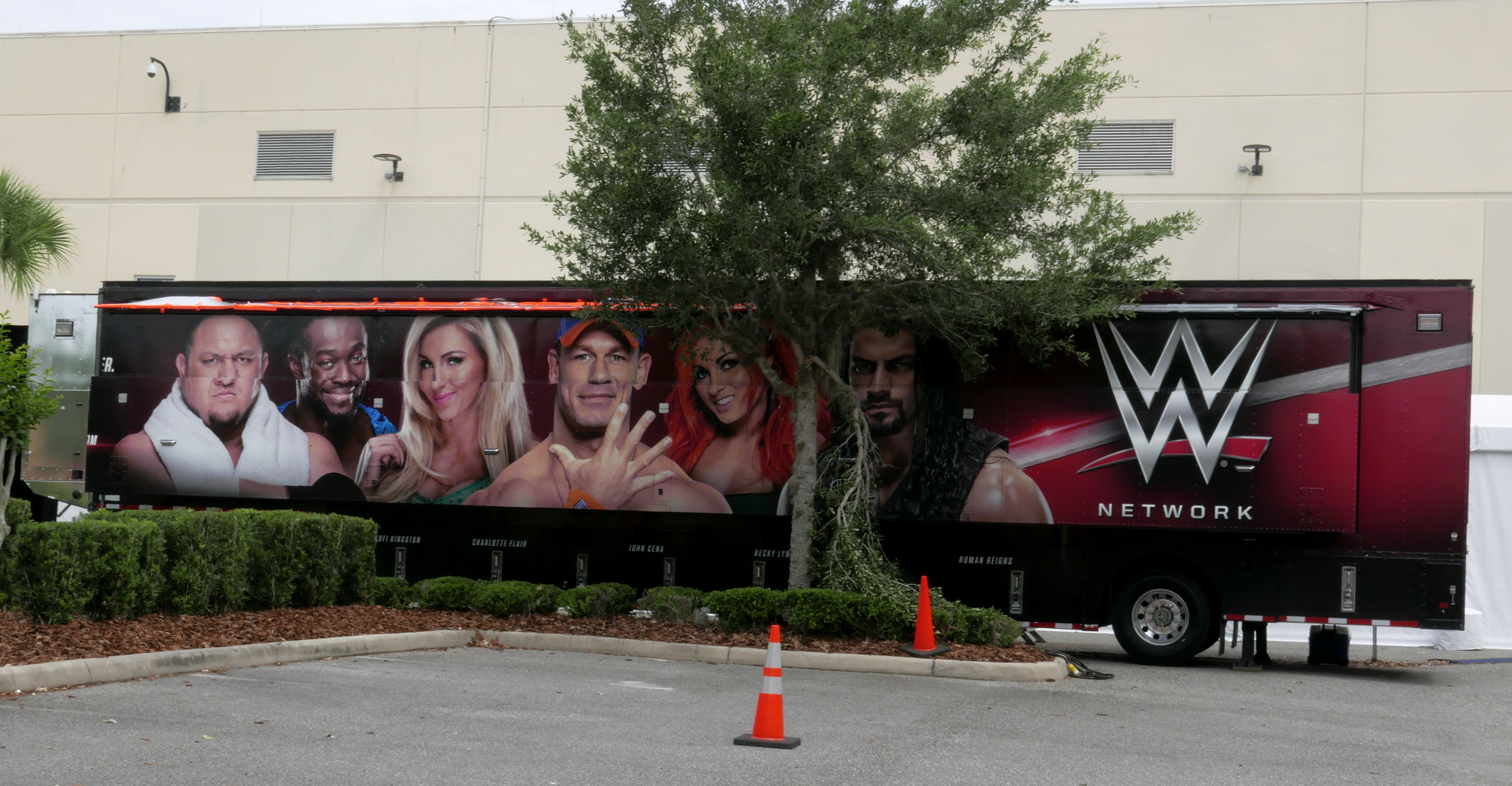 WWE-AP-images-wrestling