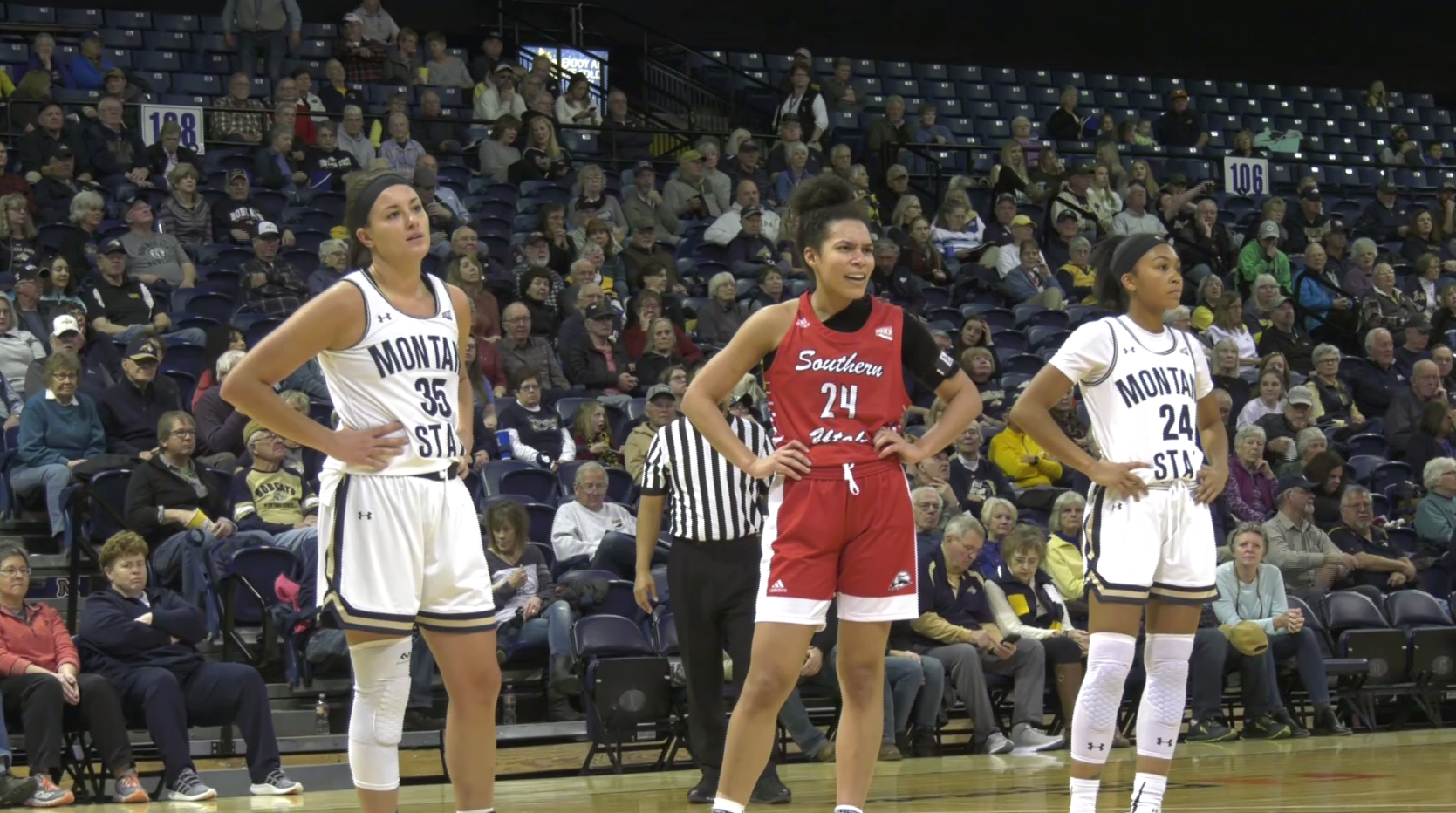 freije squires msu wbb.png