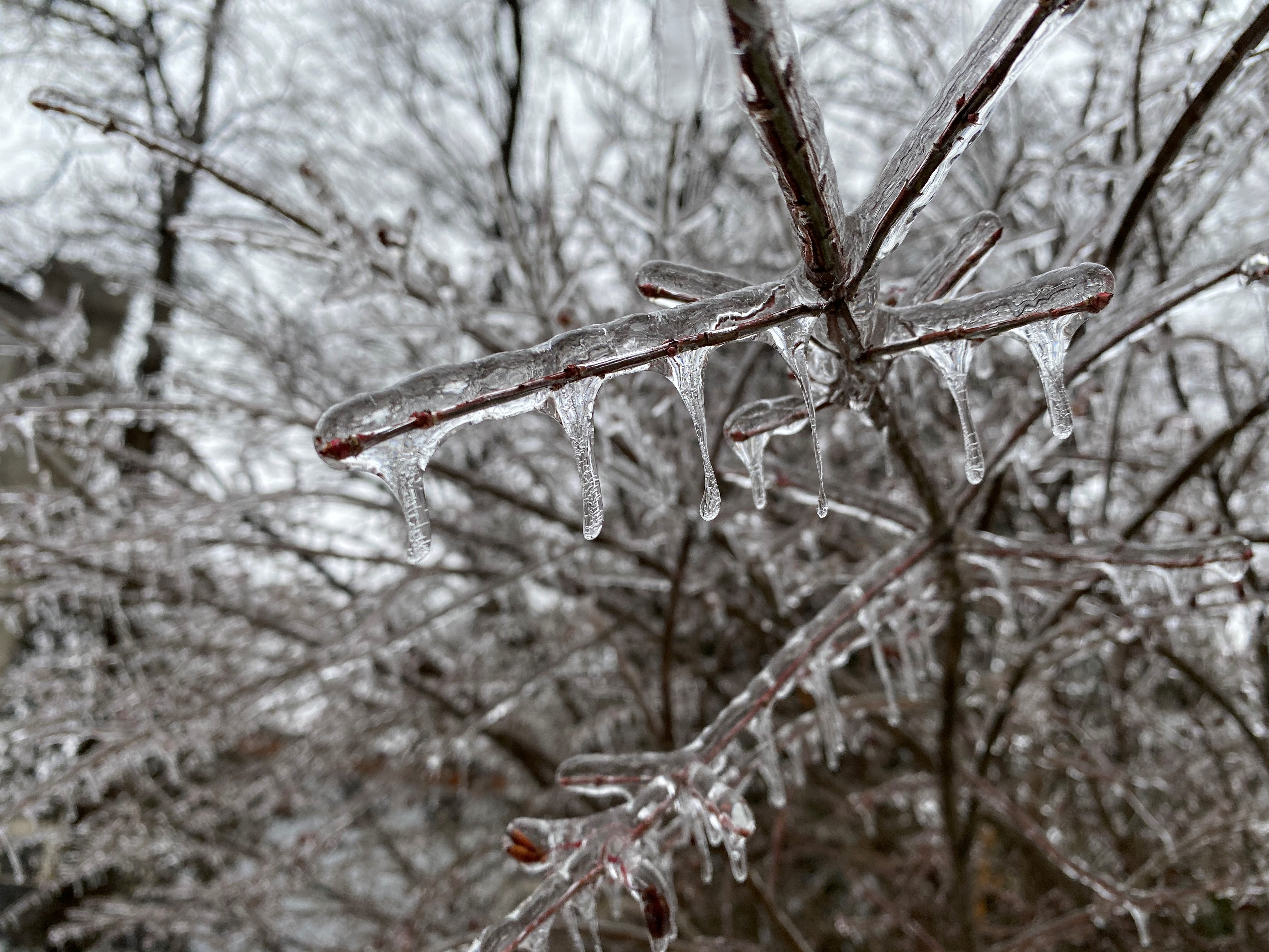 Winter weather.jpg