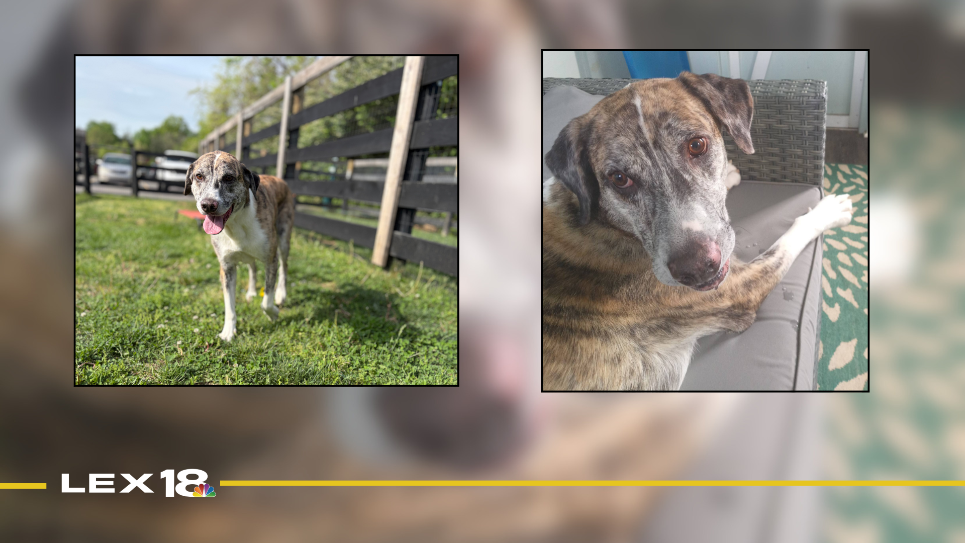 Featured Image Custom Edit (88).png