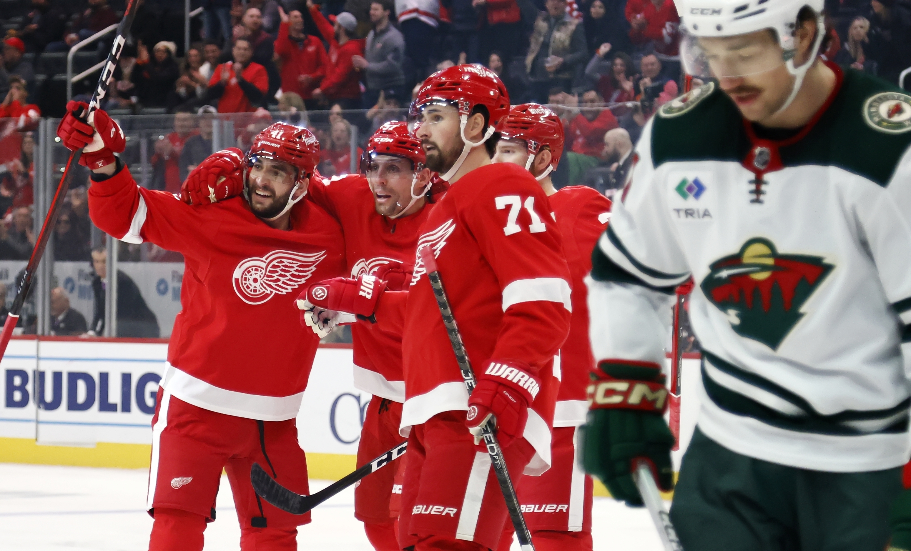 Wild Red Wings Hockey