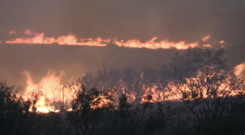 A warm winter can be dangerous weather for a fire: how 'freeze-cured' grass could make Central Texas a tinder box