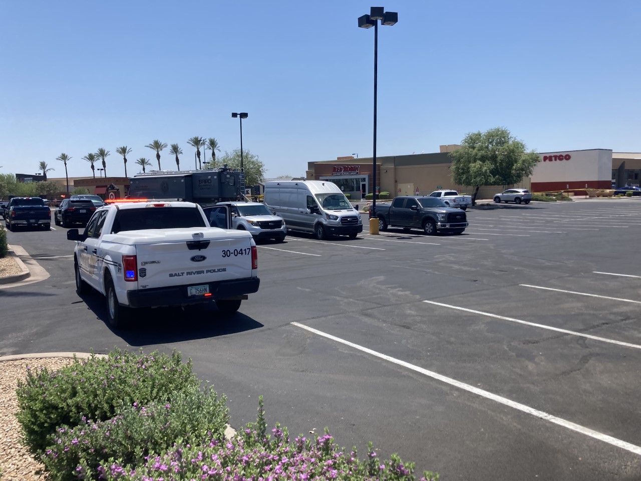 Scottsdale Red Robin 6-12-22