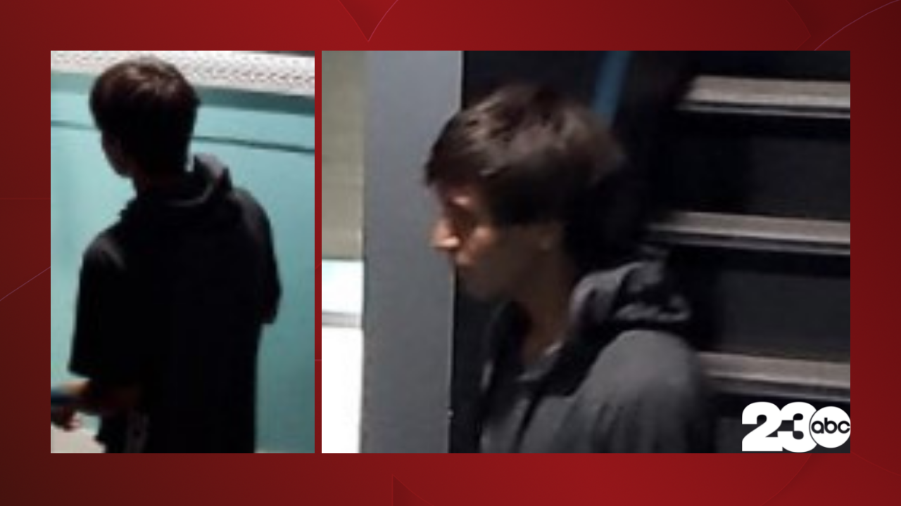 Sexual assault suspect