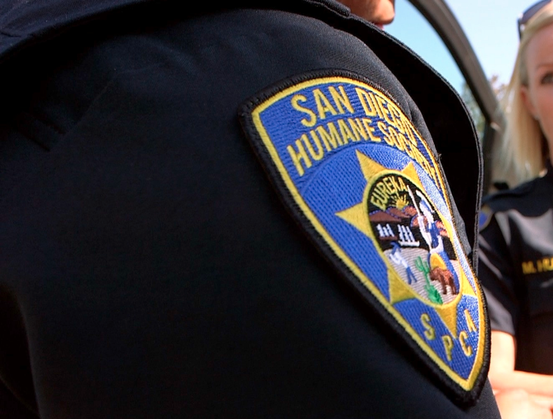 san diego humane society police badge.png