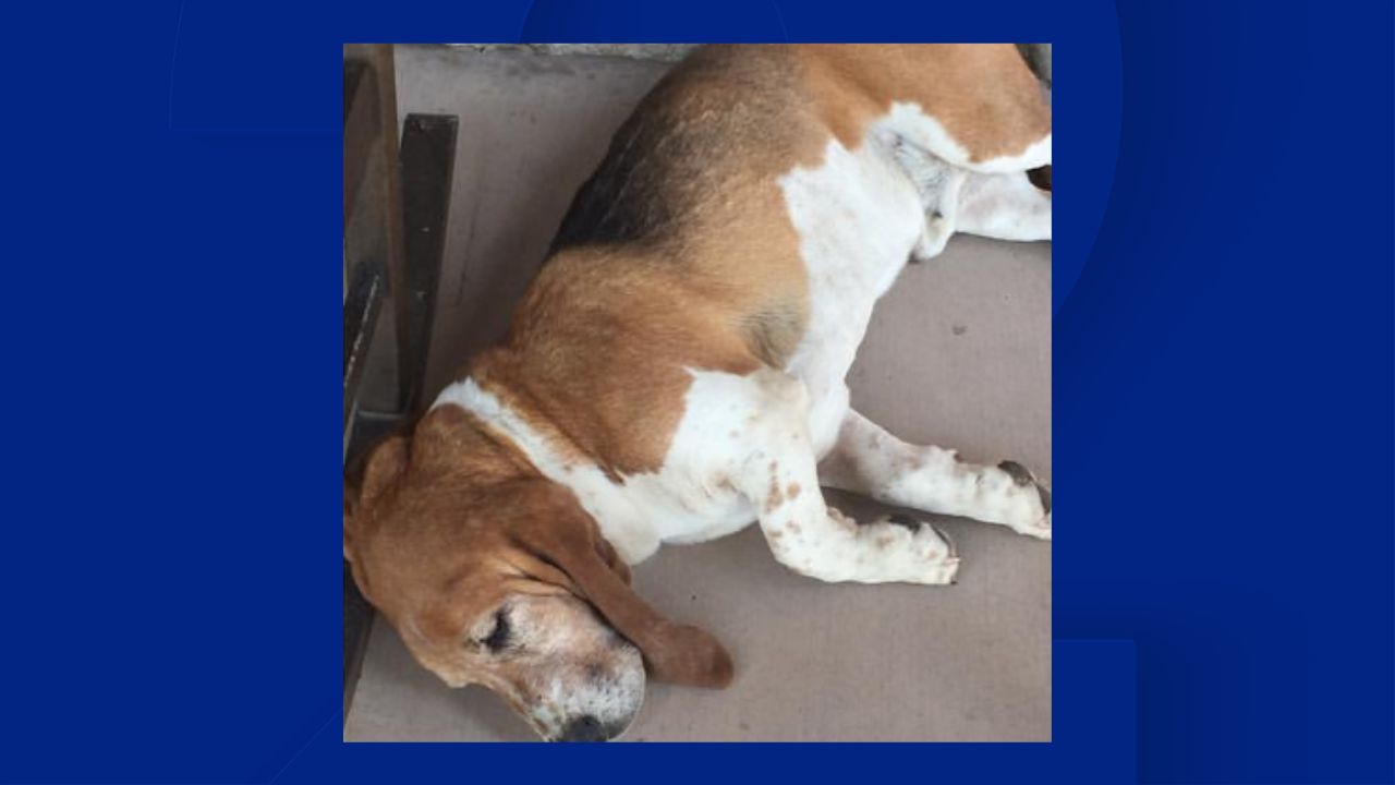 Walter Pioneer Woman