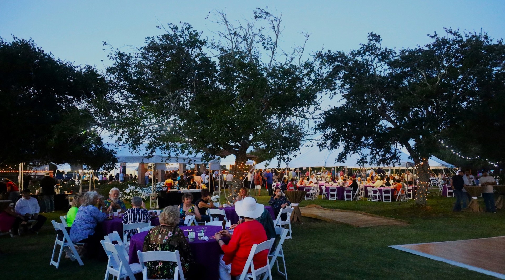 Moonlight and Mariposas in the Gardens 