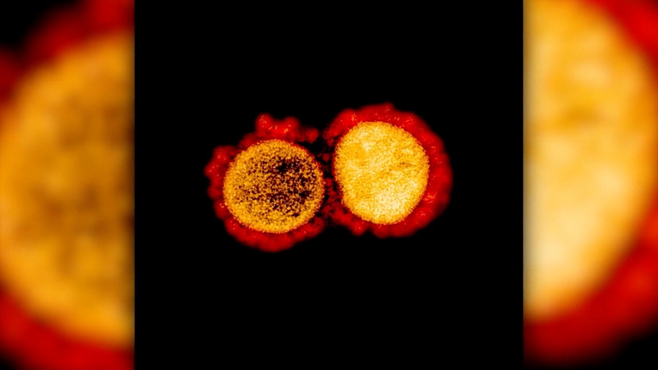 covid-19 variant-covid.jpg