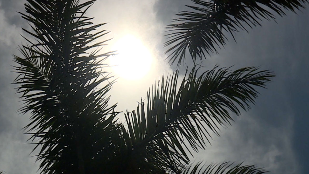 Sun, heat, summer, generic