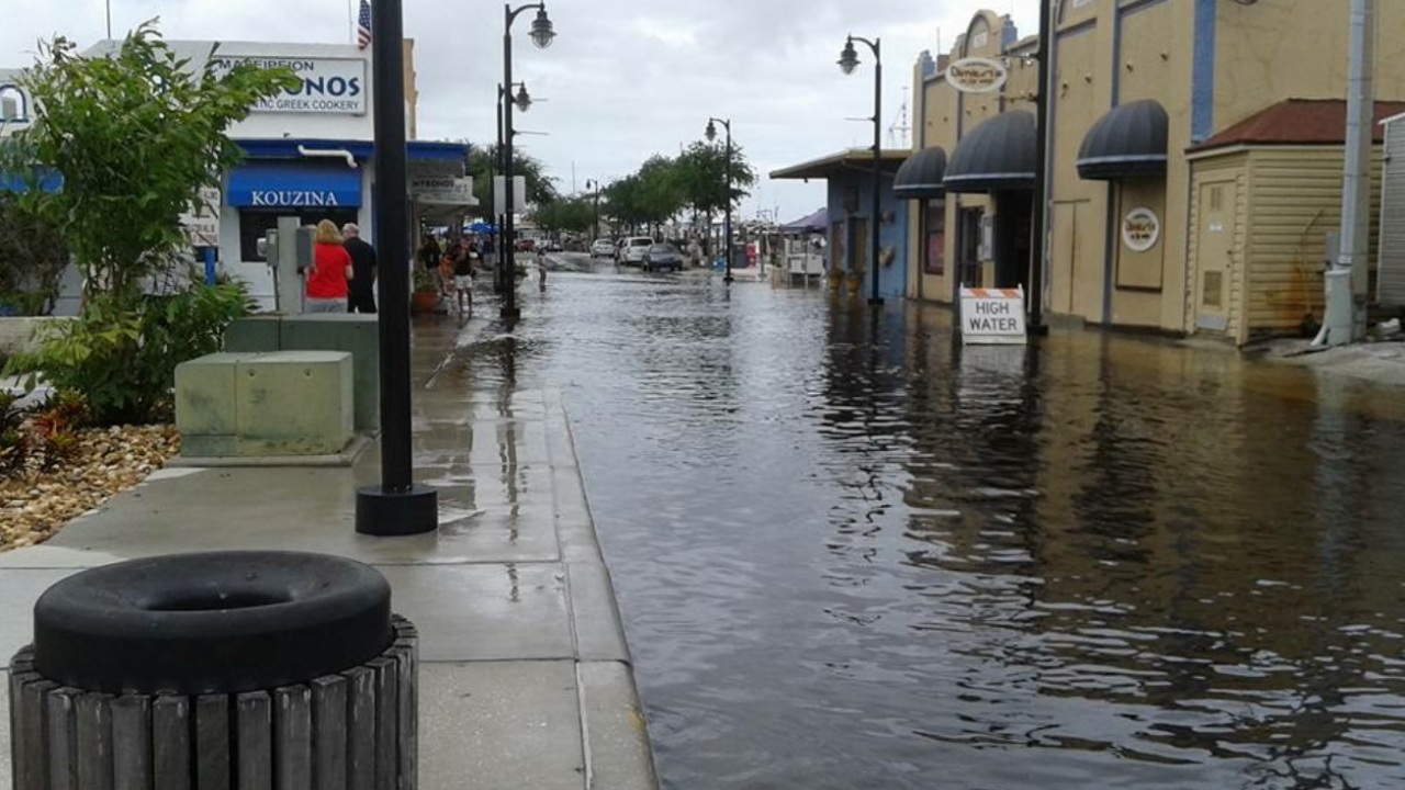Tarpon Springs flooding.png