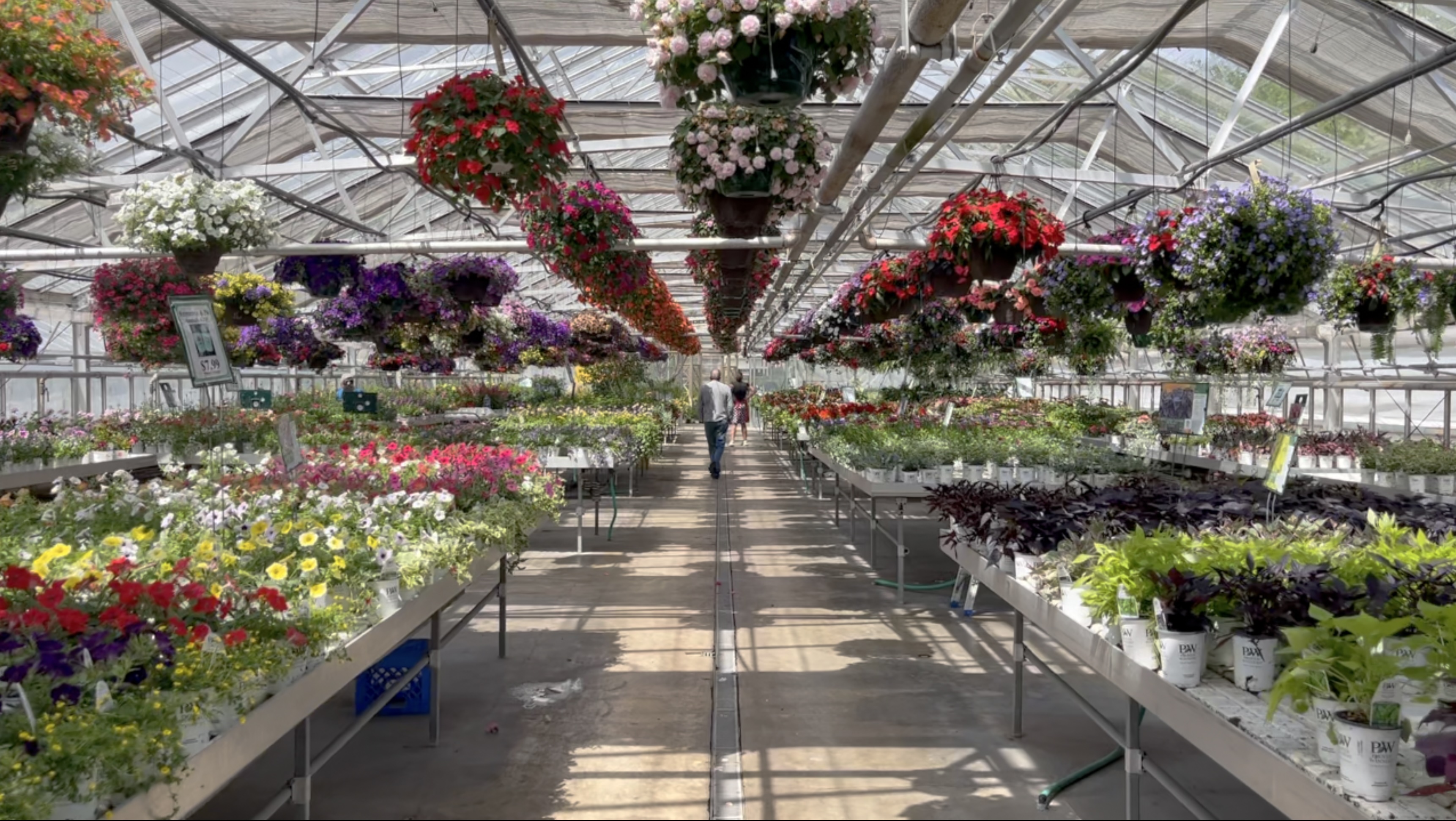 Romence Gardens and Greenhouse