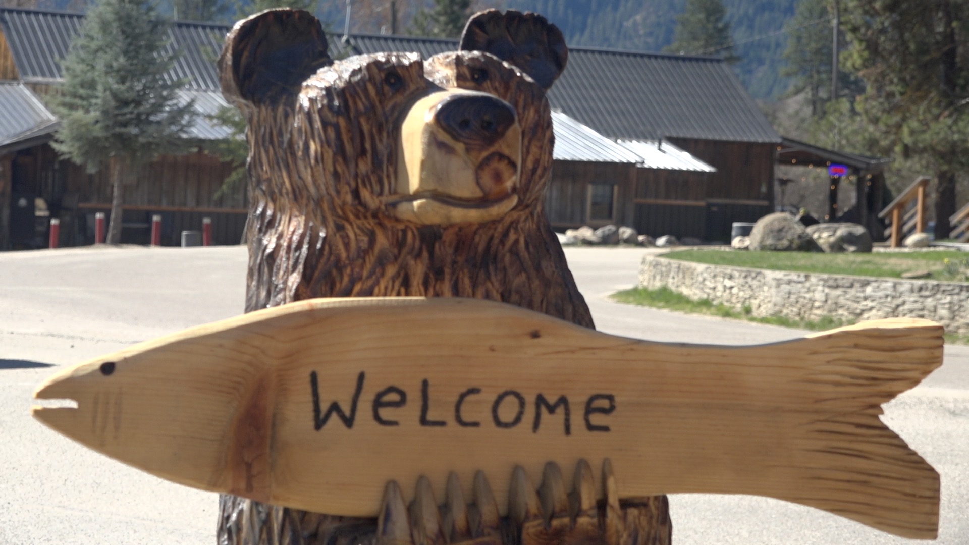 Tom's Tree Creations