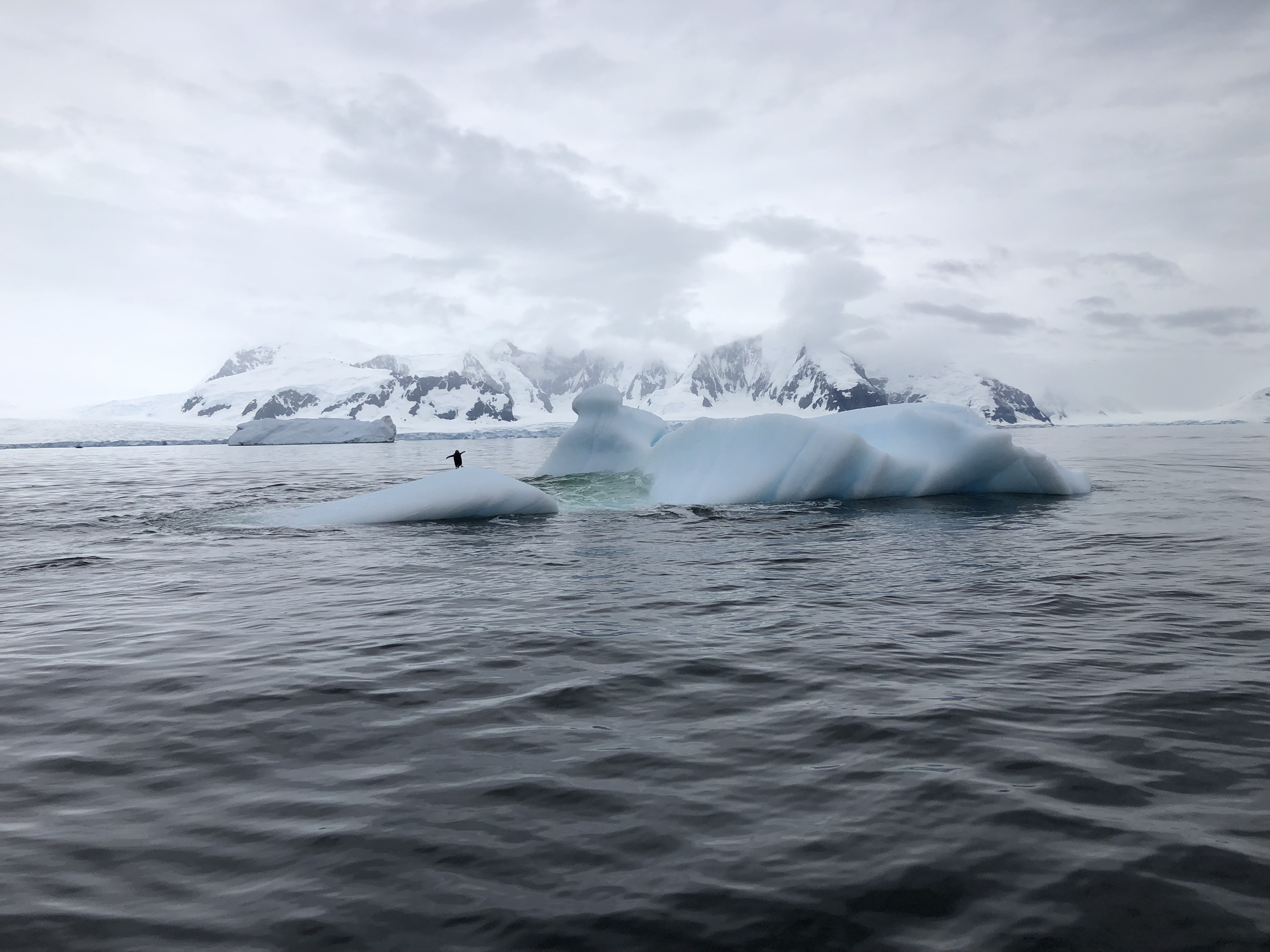 western Antarctic Peninsula near Rothera Station
