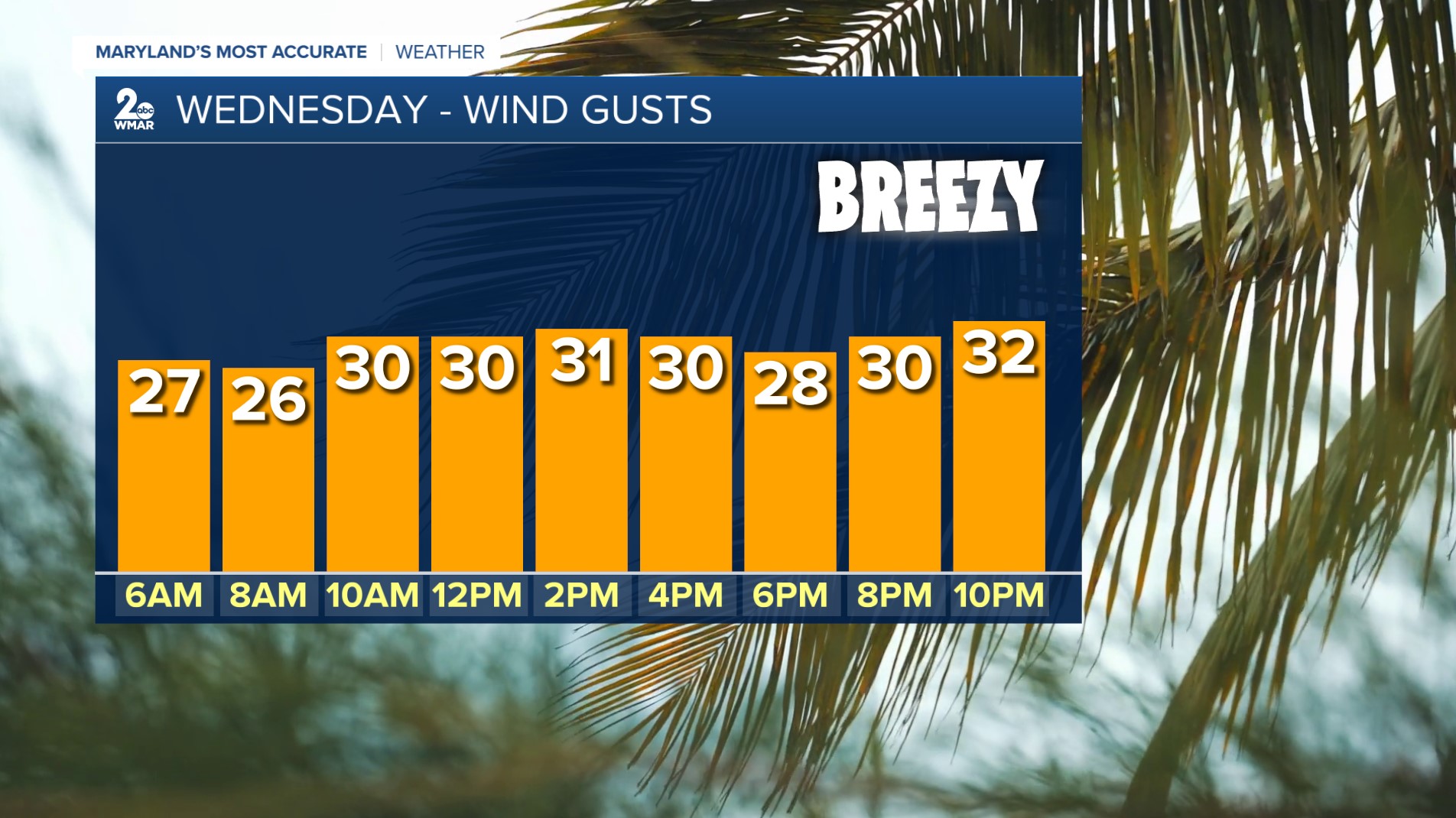 Screenshot 2026-02-10 172944.jpg