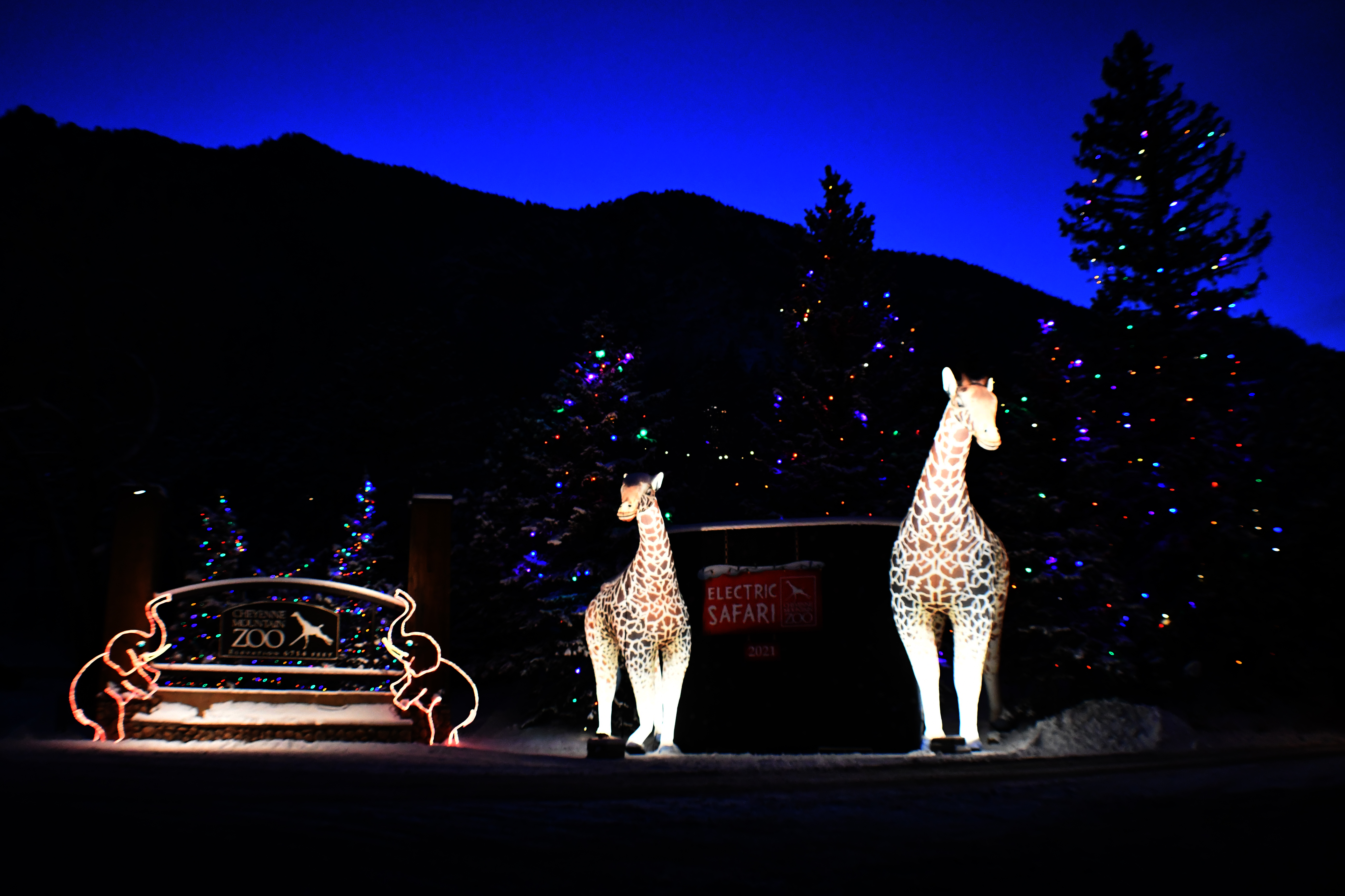 Cheyenne Mountain Zoo's Electric Safari