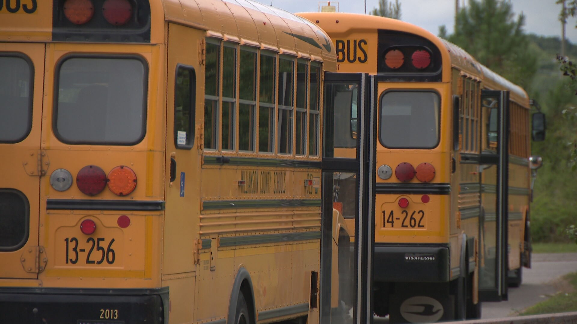 williamson county school bus