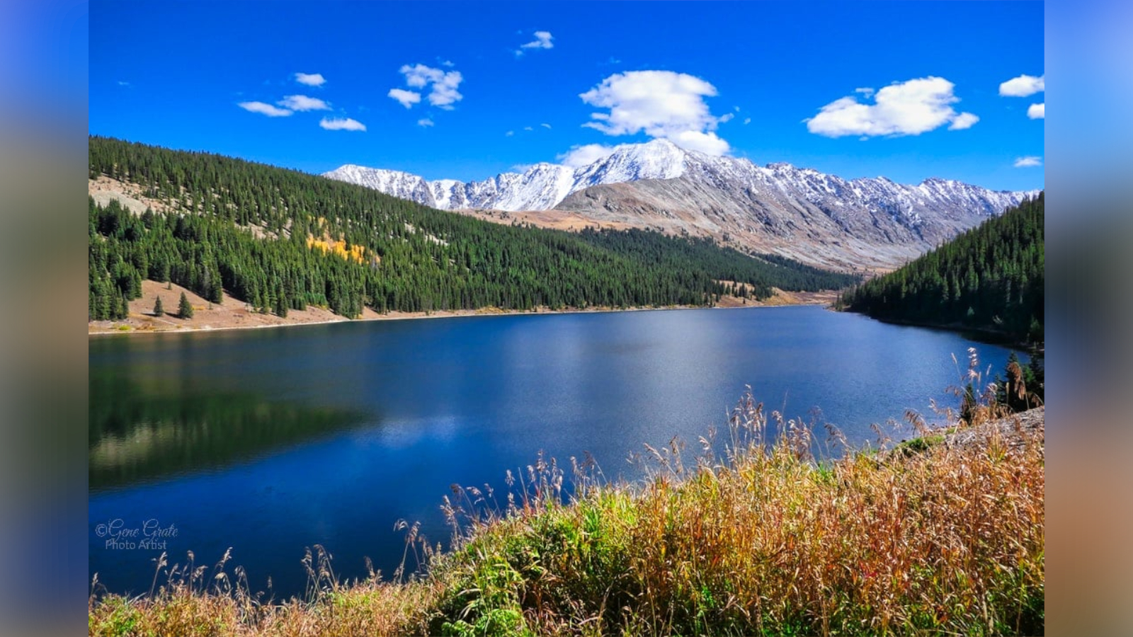 Buffehr Lake Gene Grate.jpg