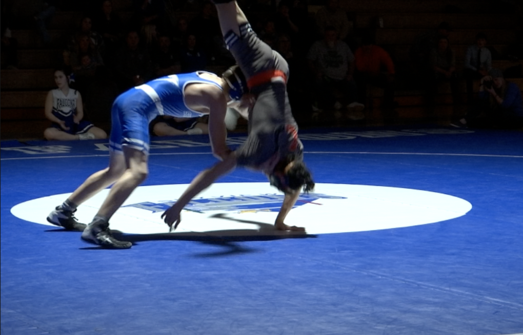 Senior Wrestling Cartwheel.png