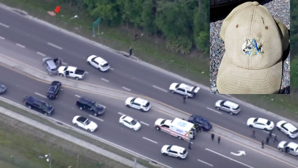 wptv-deputy-carjacker-shot.jpg