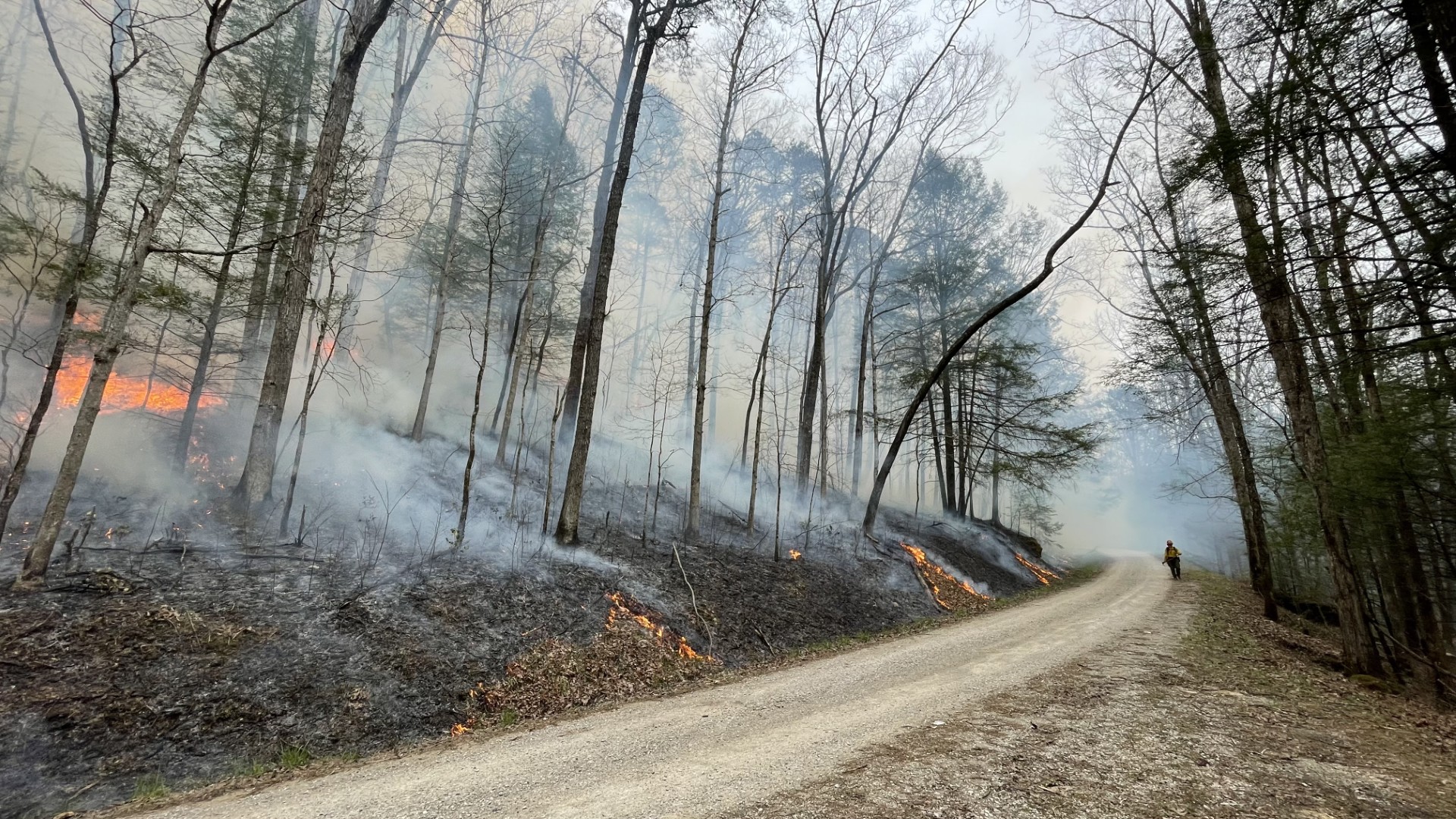 thumbnail_2022-FS-DBNF-ColdHillRxBurn-RyleBenke.jpg
