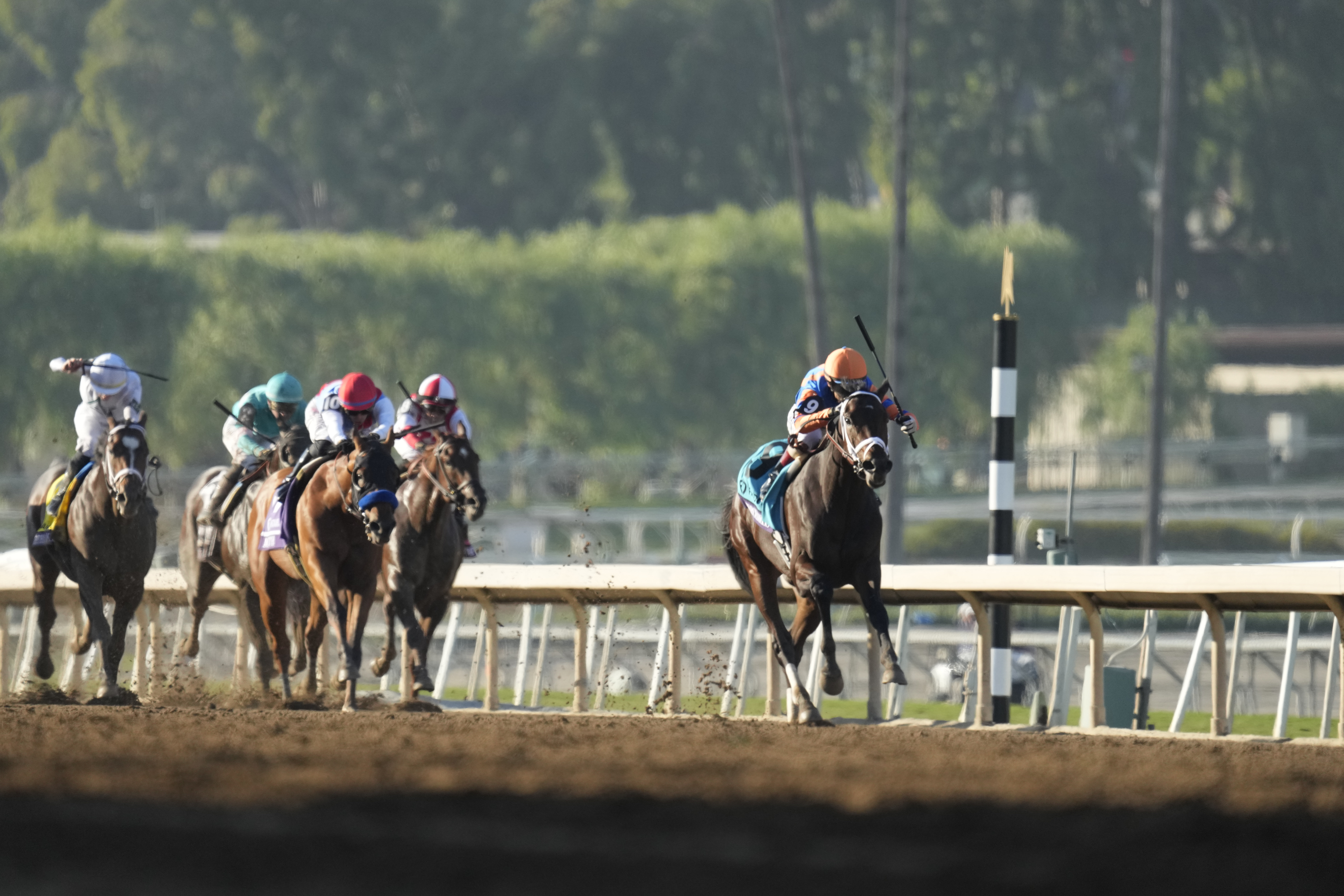 Breeders' Cup Juvenile Fierceness 