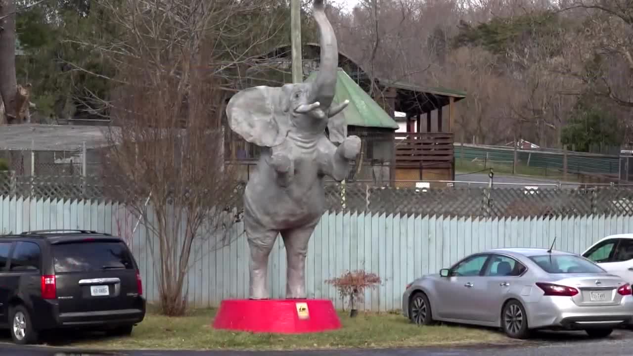 Natural Bridge Zoo