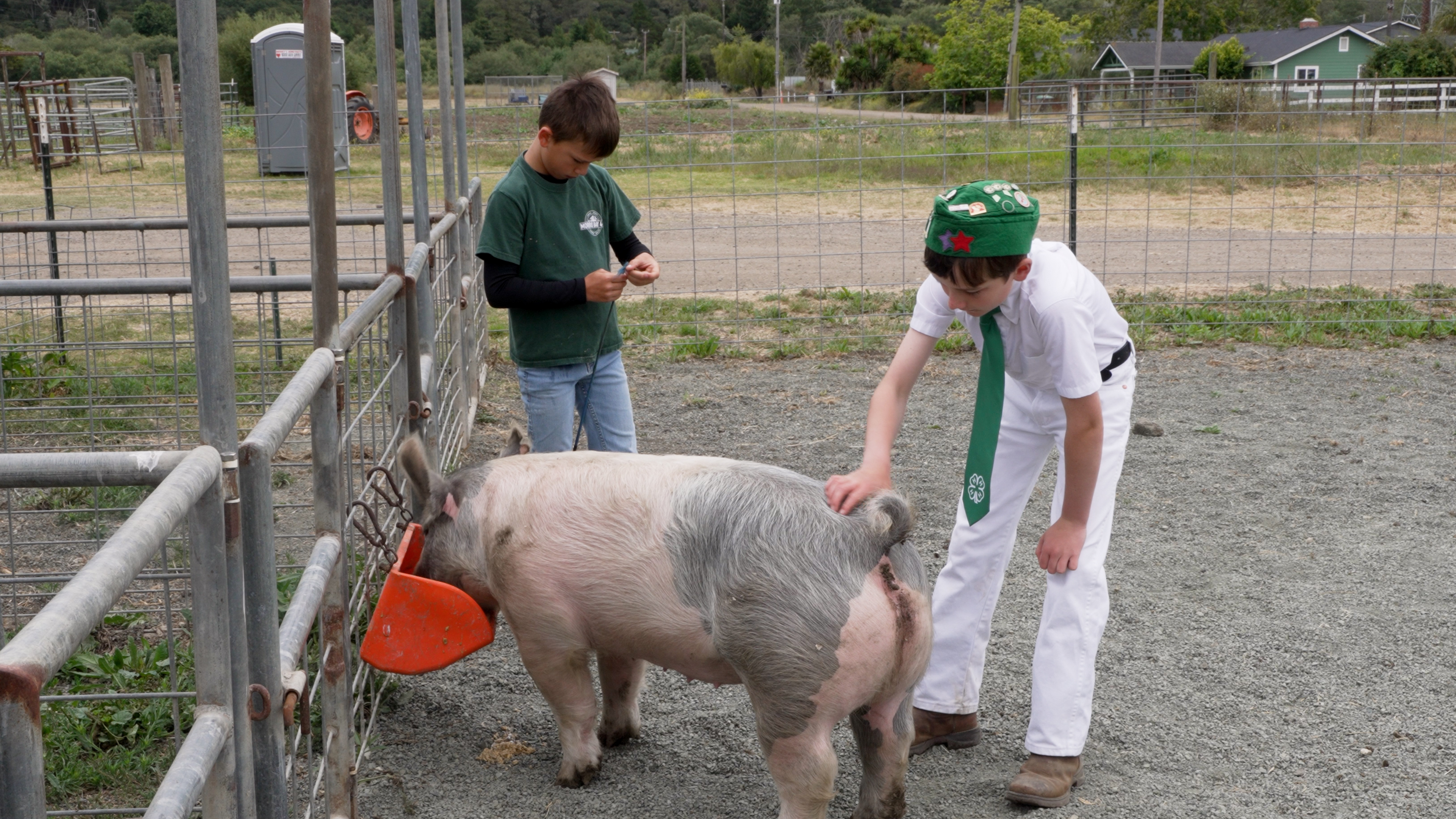 4-h.jpg
