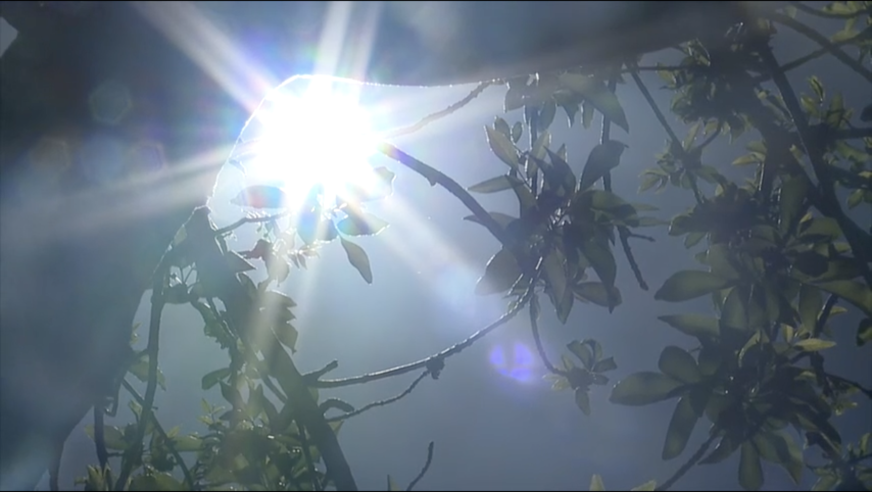 Screenshot 2026-03-19 at 5.35.45 PM.png