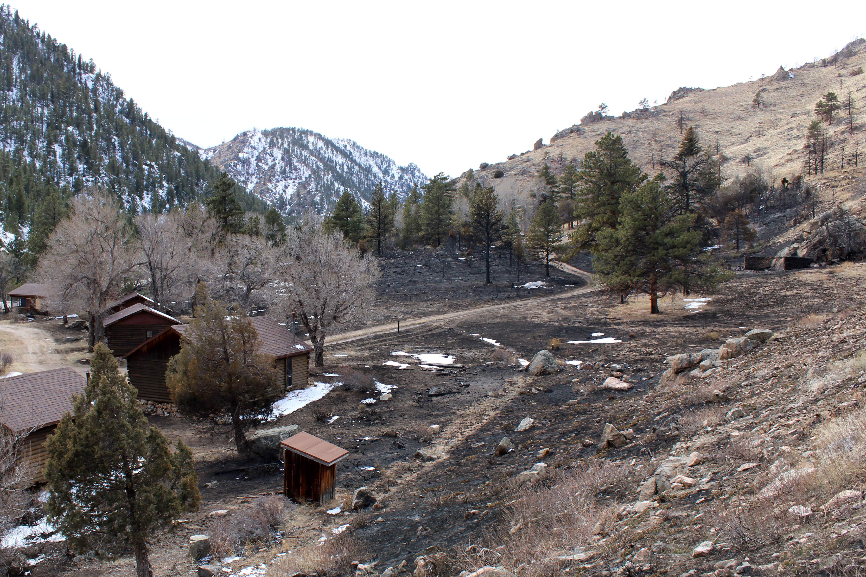 U.S. Forest Service_arrowhead fire damage