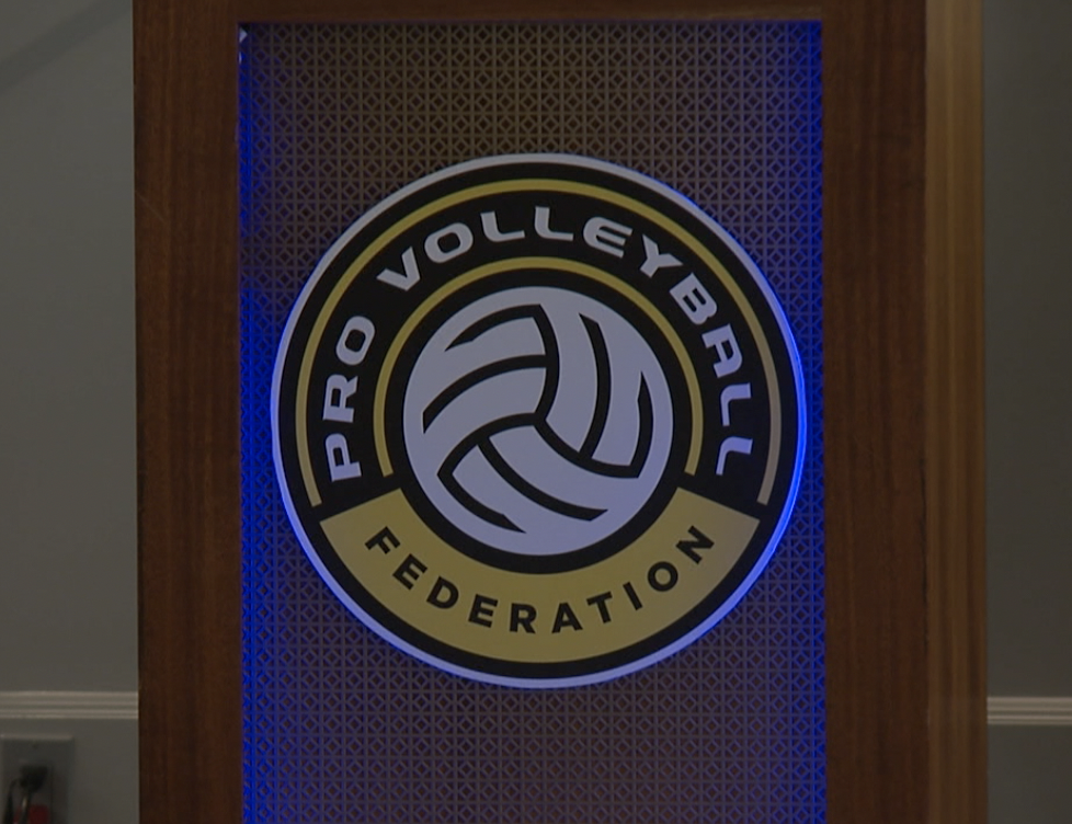 Pro volleyball federation