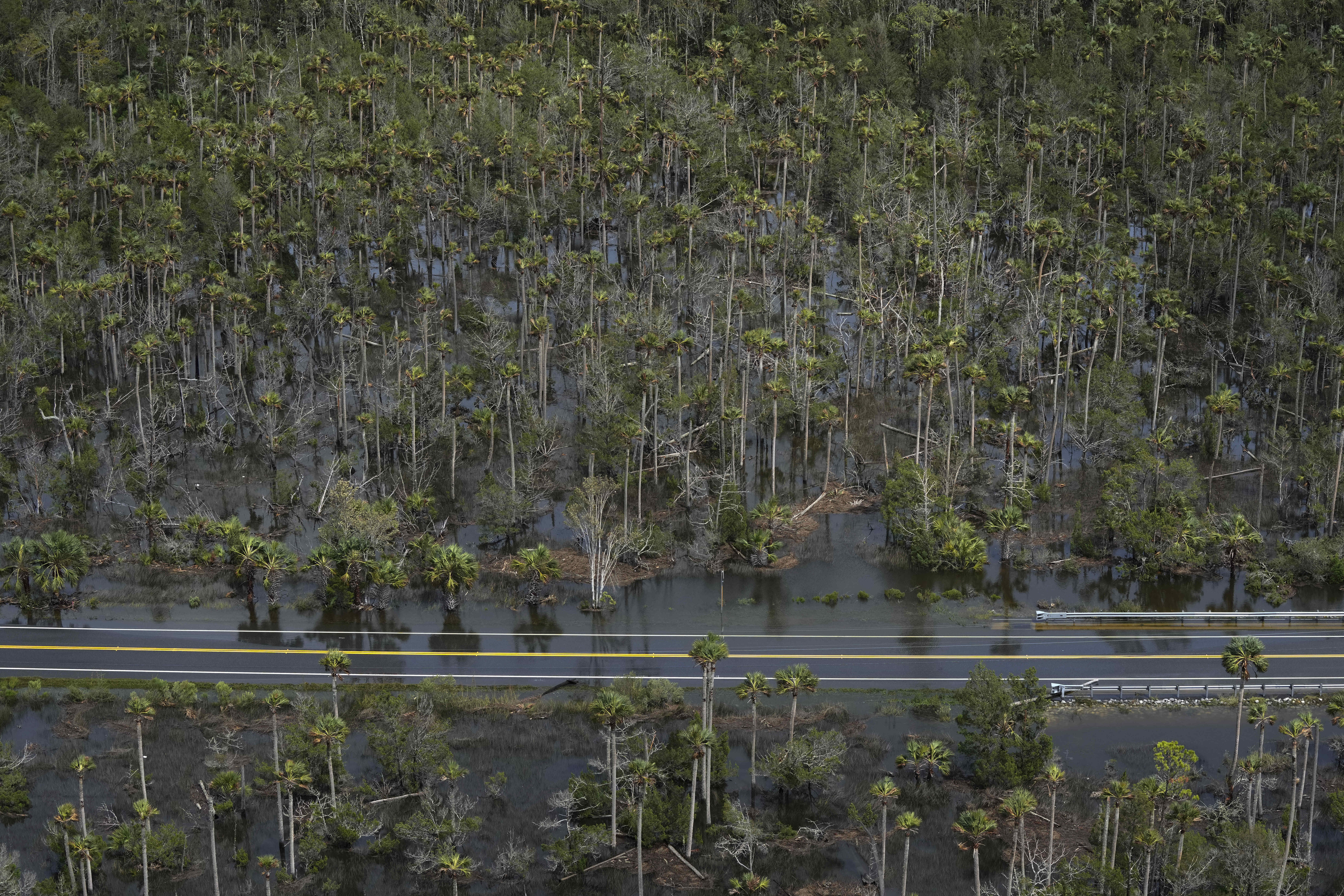 Hurricane Idalia-Florida Agriculture